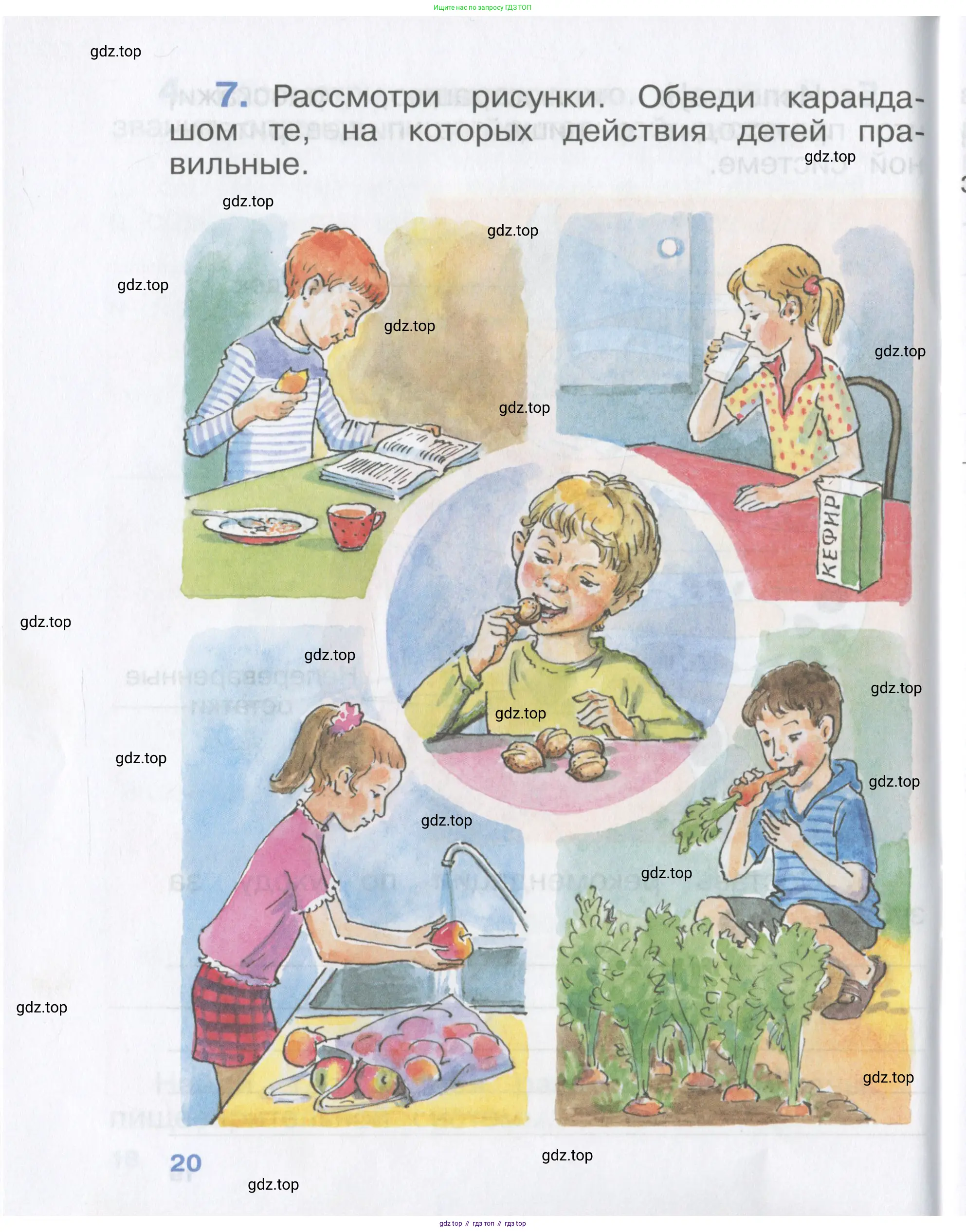 Окружающий мир, 4 класс рабочая тетрадь, авторы: Саплина Елена Витальевна, Саплин А И, Сивоглазов Владислав Иванович, издательство Дрофа, Москва, 2018, жёлтого цвета, Часть 1, страница 20