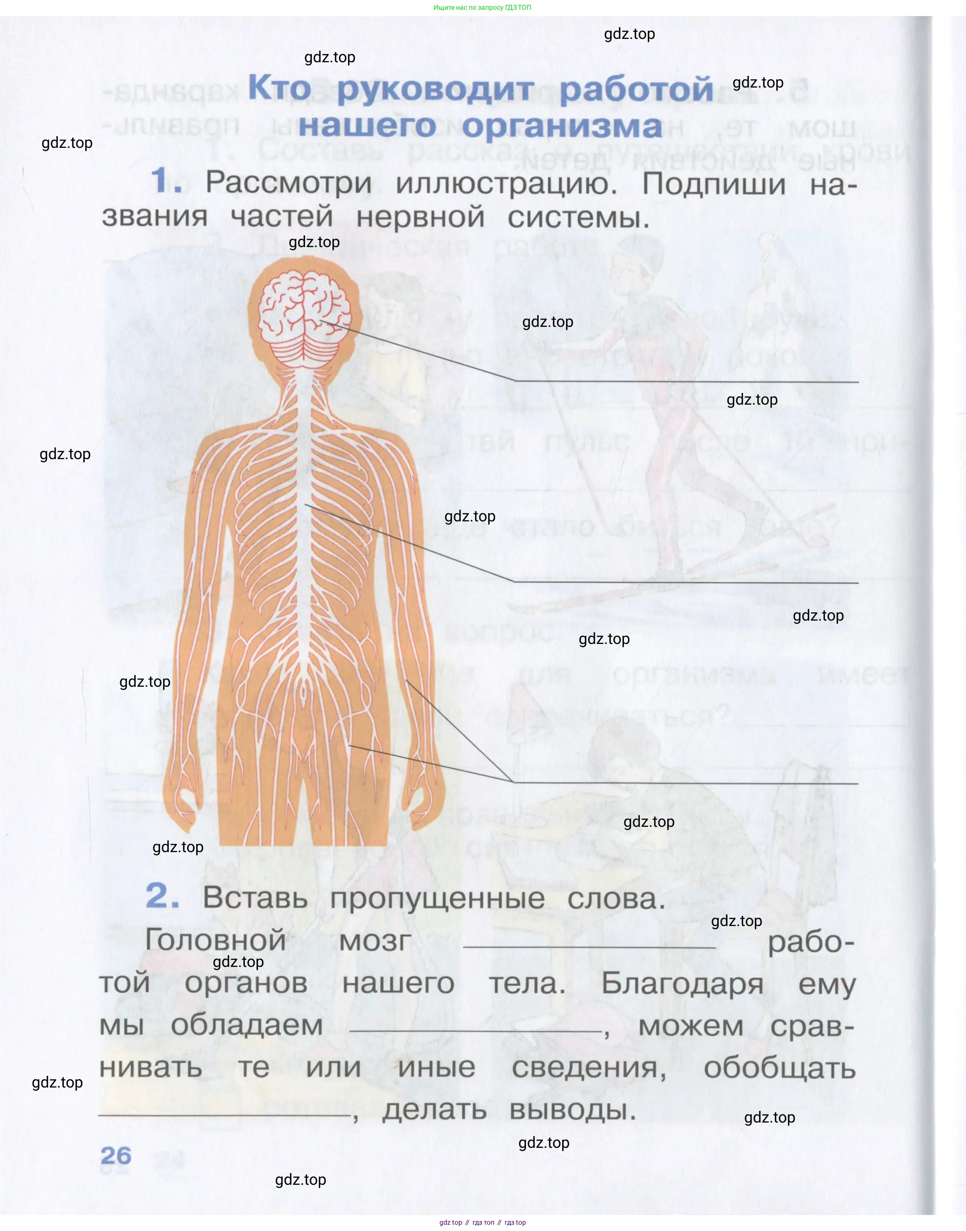 Окружающий мир, 4 класс рабочая тетрадь, авторы: Саплина Елена Витальевна, Саплин А И, Сивоглазов Владислав Иванович, издательство Дрофа, Москва, 2018, жёлтого цвета, Часть 1, страница 26