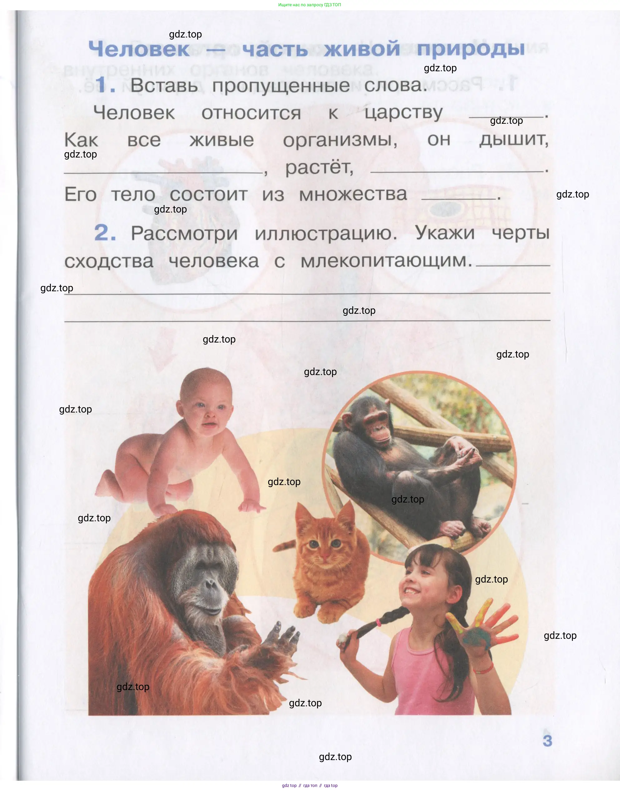 Окружающий мир, 4 класс рабочая тетрадь, авторы: Саплина Елена Витальевна, Саплин А И, Сивоглазов Владислав Иванович, издательство Дрофа, Москва, 2018, жёлтого цвета, Часть 1, страница 3