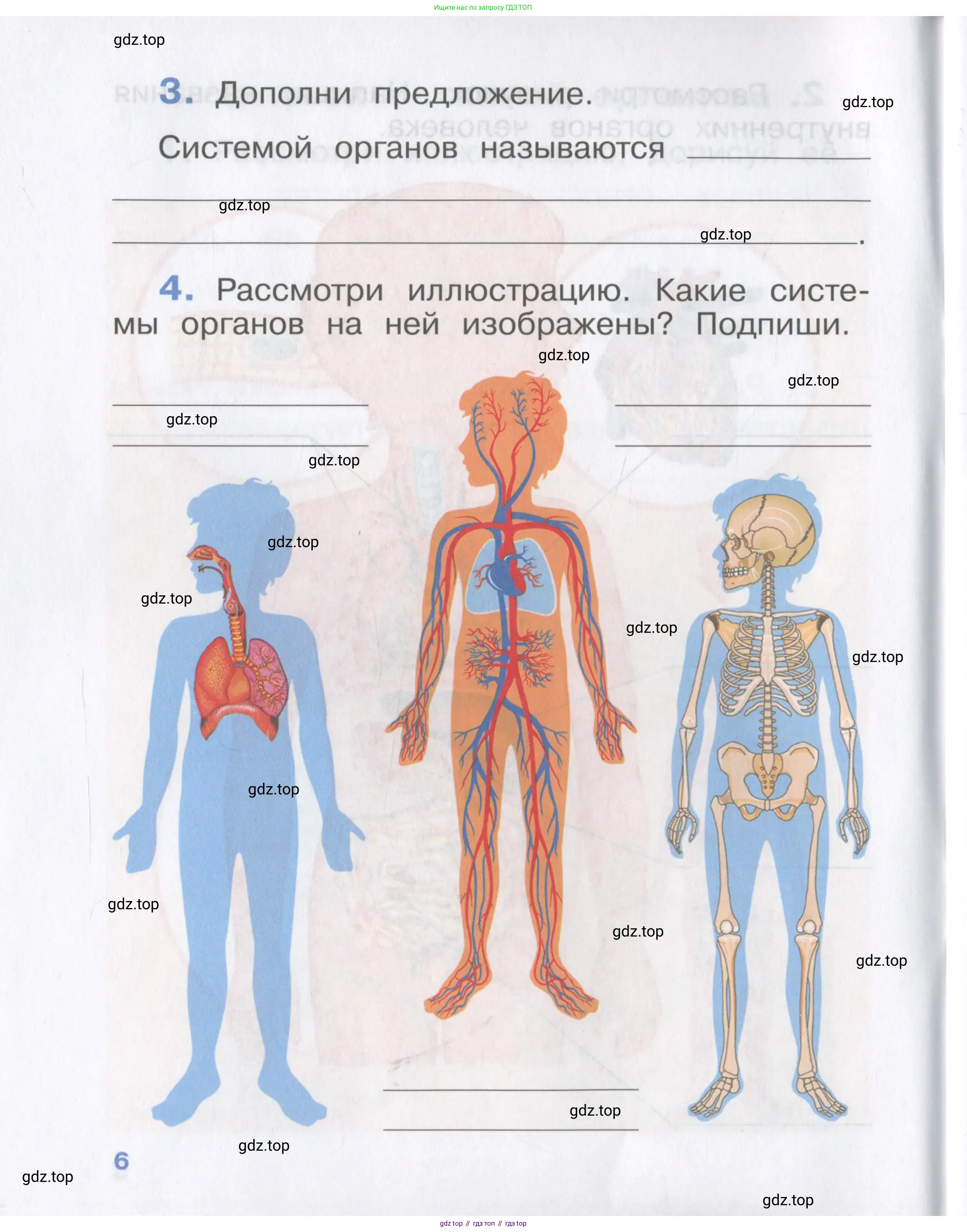 Окружающий мир, 4 класс рабочая тетрадь, авторы: Саплина Елена Витальевна, Саплин А И, Сивоглазов Владислав Иванович, издательство Дрофа, Москва, 2018, жёлтого цвета, Часть 1, страница 6