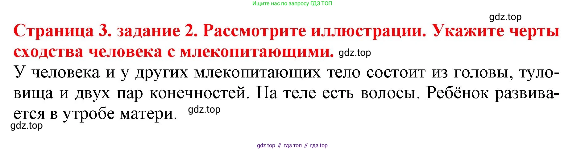 Окружающий мир, 4 класс рабочая тетрадь, авторы: Саплина Елена Витальевна, Саплин А И, Сивоглазов Владислав Иванович, издательство Дрофа, Москва, 2018, жёлтого цвета, Часть 1, страница 3, номер 2, Решение