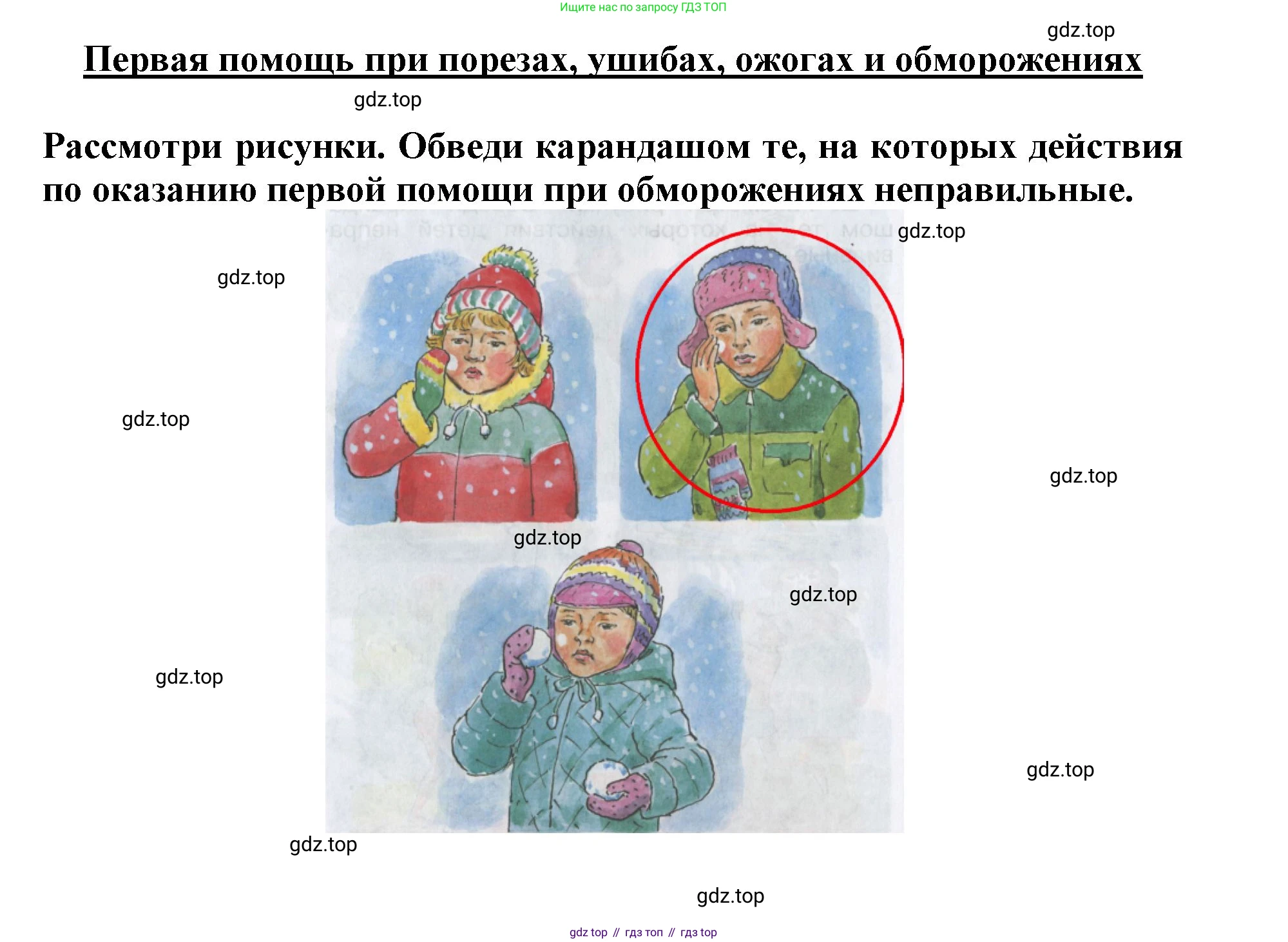 Окружающий мир, 4 класс рабочая тетрадь, авторы: Саплина Елена Витальевна, Саплин А И, Сивоглазов Владислав Иванович, издательство Дрофа, Москва, 2018, жёлтого цвета, Часть 1, страница 12, Решение