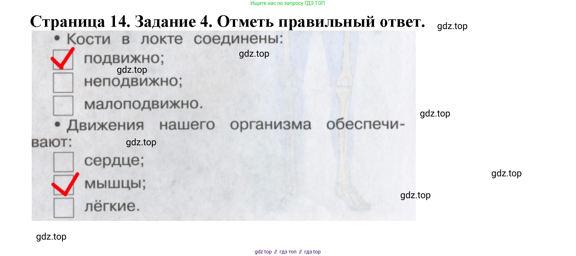 Окружающий мир, 4 класс рабочая тетрадь, авторы: Саплина Елена Витальевна, Саплин А И, Сивоглазов Владислав Иванович, издательство Дрофа, Москва, 2018, жёлтого цвета, Часть 1, страница 14, номер 4, Решение
