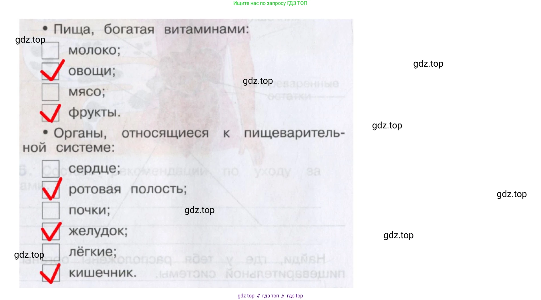 Окружающий мир, 4 класс рабочая тетрадь, авторы: Саплина Елена Витальевна, Саплин А И, Сивоглазов Владислав Иванович, издательство Дрофа, Москва, 2018, жёлтого цвета, Часть 1, страница 17, номер 3, Решение