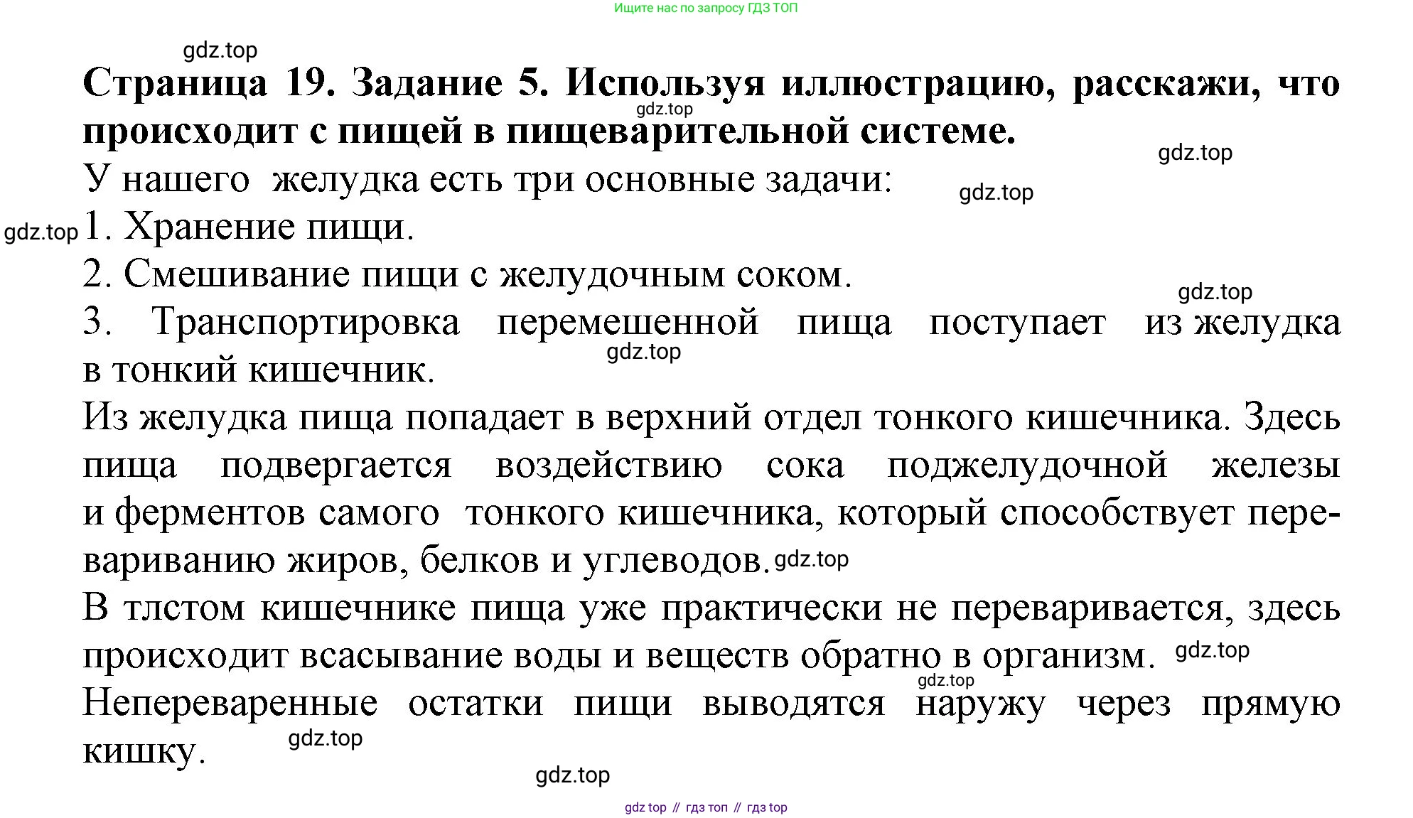 Окружающий мир, 4 класс рабочая тетрадь, авторы: Саплина Елена Витальевна, Саплин А И, Сивоглазов Владислав Иванович, издательство Дрофа, Москва, 2018, жёлтого цвета, Часть 1, страница 19, номер 5, Решение