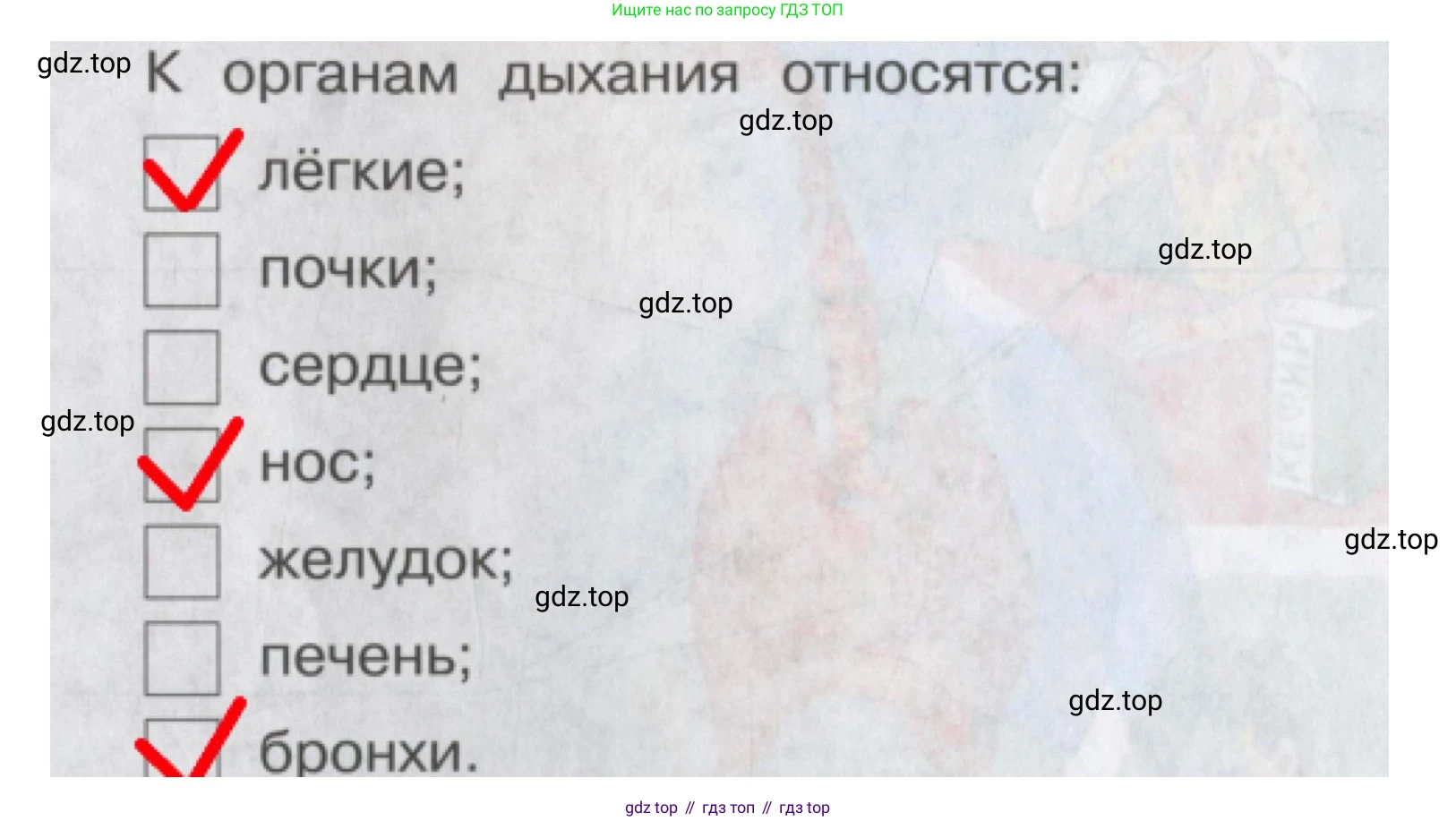 Окружающий мир, 4 класс рабочая тетрадь, авторы: Саплина Елена Витальевна, Саплин А И, Сивоглазов Владислав Иванович, издательство Дрофа, Москва, 2018, жёлтого цвета, Часть 1, страница 22, номер 4, Решение