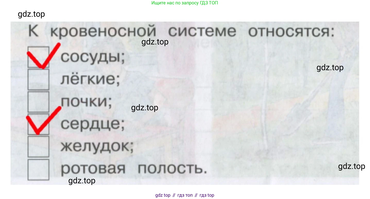 Окружающий мир, 4 класс рабочая тетрадь, авторы: Саплина Елена Витальевна, Саплин А И, Сивоглазов Владислав Иванович, издательство Дрофа, Москва, 2018, жёлтого цвета, Часть 1, страница 24, номер 4, Решение