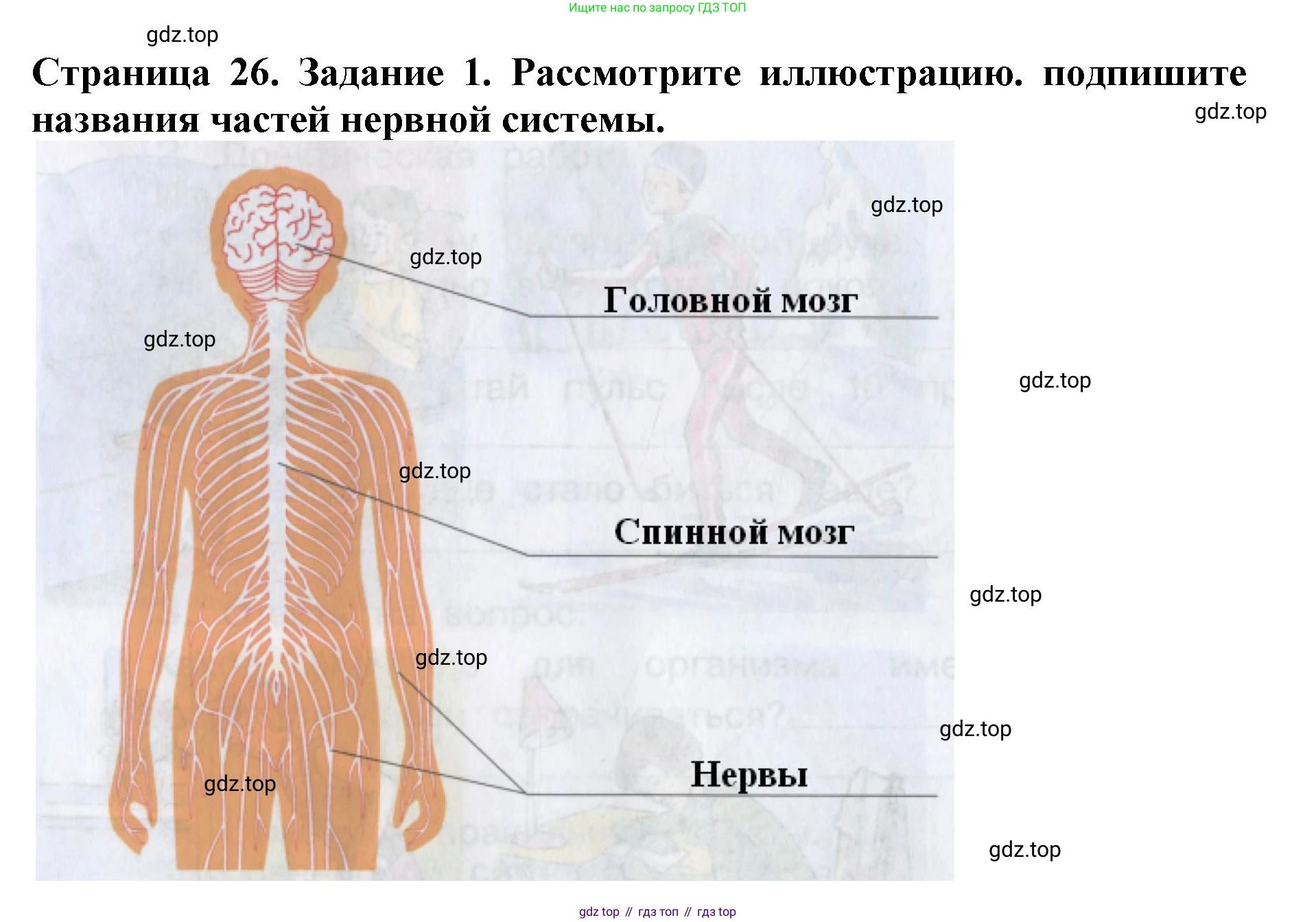 Окружающий мир, 4 класс рабочая тетрадь, авторы: Саплина Елена Витальевна, Саплин А И, Сивоглазов Владислав Иванович, издательство Дрофа, Москва, 2018, жёлтого цвета, Часть 1, страница 26, номер 1, Решение