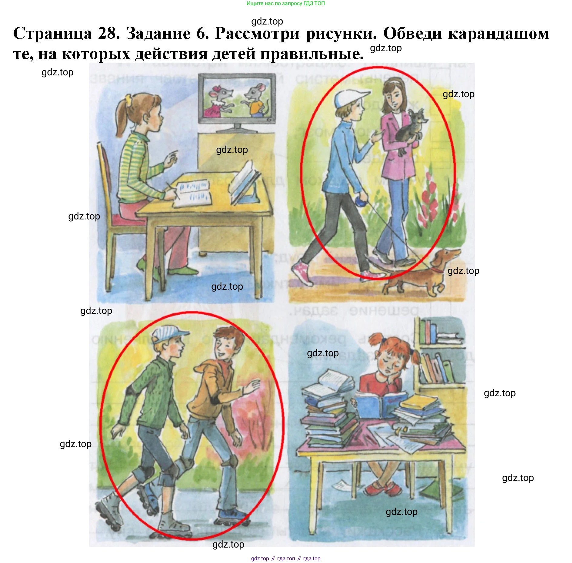 Окружающий мир, 4 класс рабочая тетрадь, авторы: Саплина Елена Витальевна, Саплин А И, Сивоглазов Владислав Иванович, издательство Дрофа, Москва, 2018, жёлтого цвета, Часть 1, страница 28, номер 6, Решение