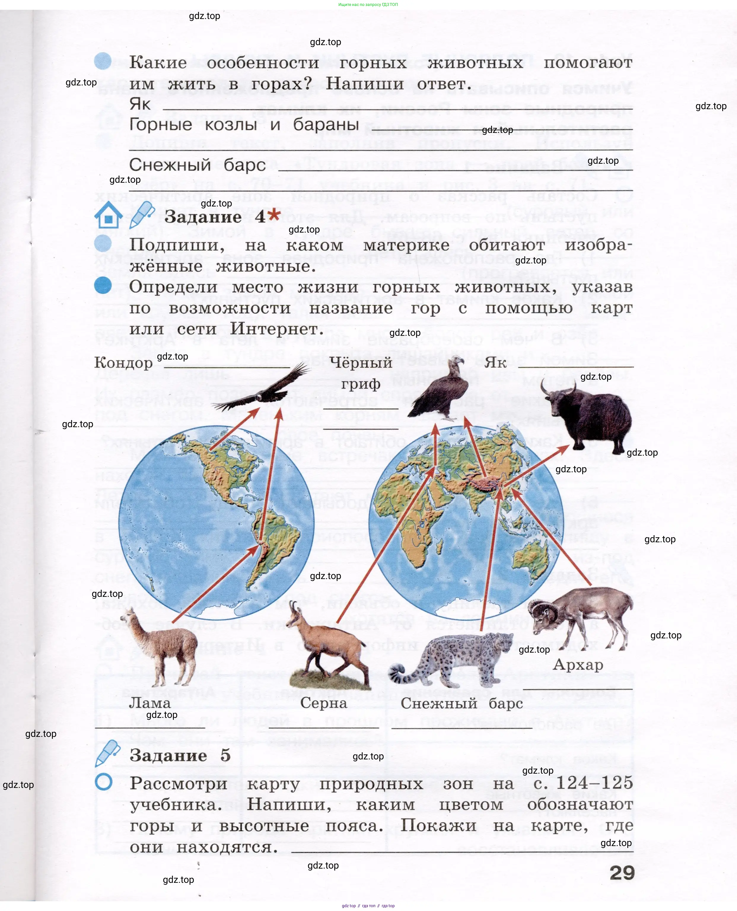 Окружающий мир, 4 класс рабочая тетрадь, авторы: Вахрушев Александр Александрович, Зорин Н В, Ловягин С Н, Кремлева И И, Бурский О В, издательство Просвещение, Москва, 2022, зелёного цвета, Часть 1, страница 29