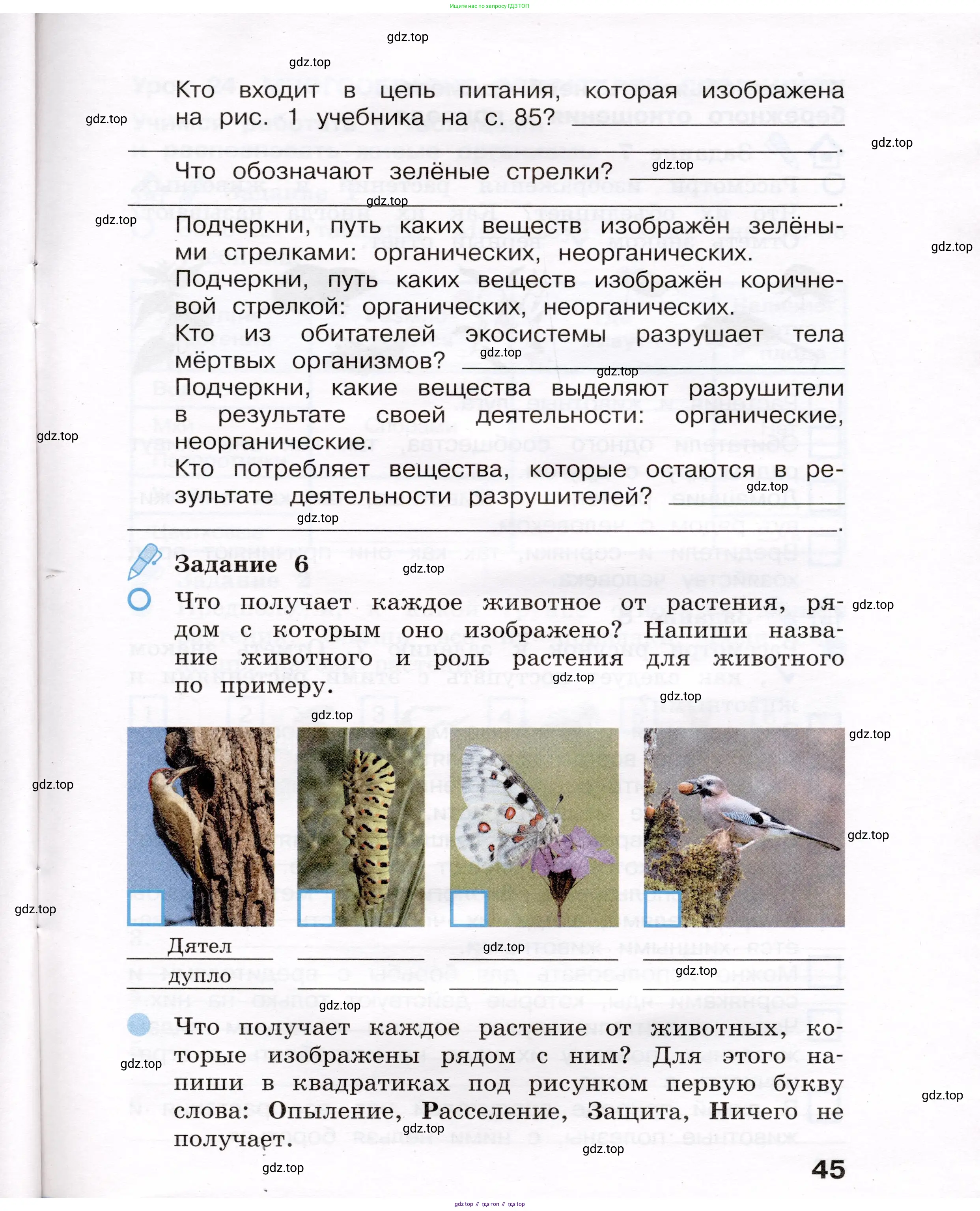 Окружающий мир, 4 класс рабочая тетрадь, авторы: Вахрушев Александр Александрович, Зорин Н В, Ловягин С Н, Кремлева И И, Бурский О В, издательство Просвещение, Москва, 2022, зелёного цвета, Часть 1, страница 45