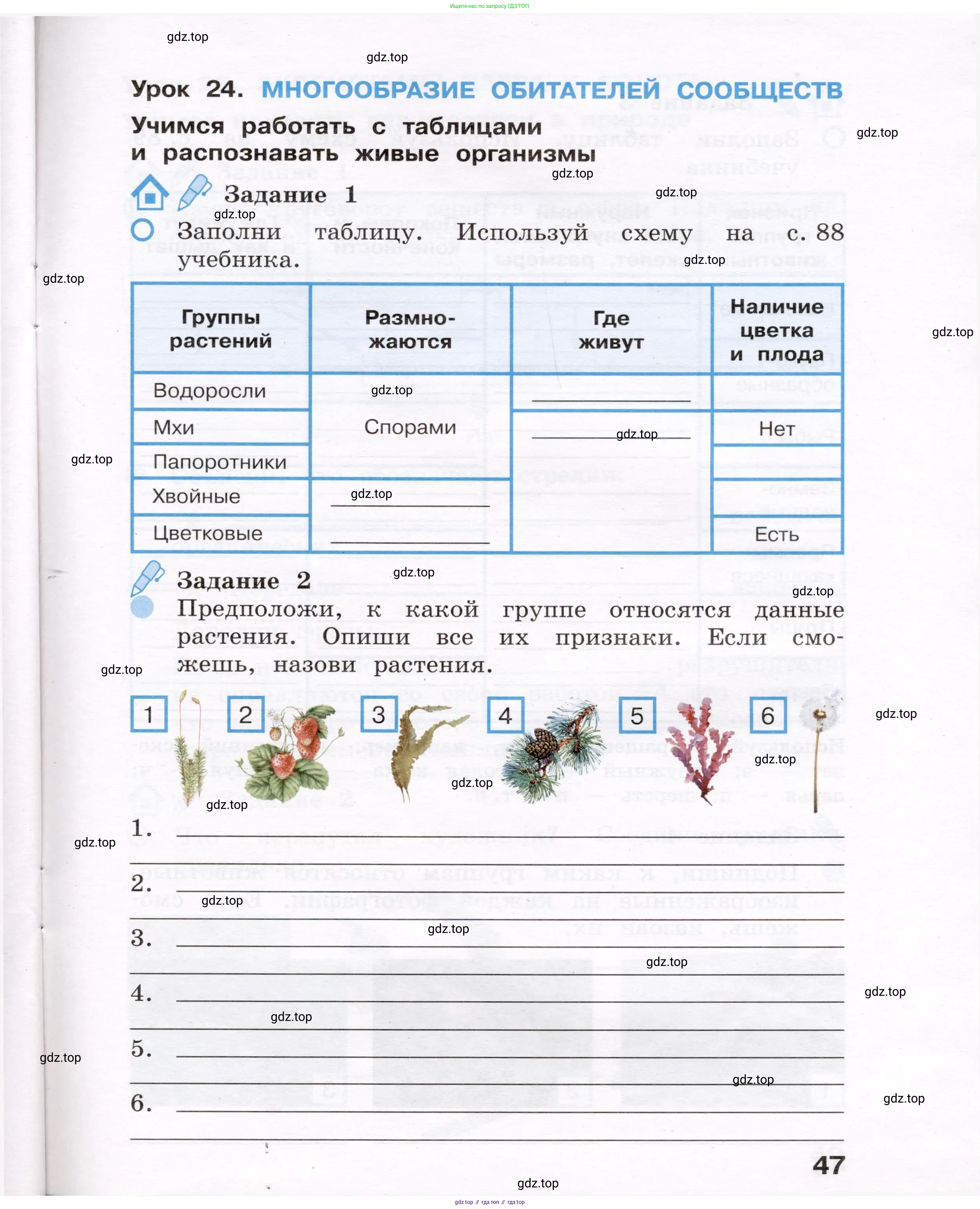 Окружающий мир, 4 класс рабочая тетрадь, авторы: Вахрушев Александр Александрович, Зорин Н В, Ловягин С Н, Кремлева И И, Бурский О В, издательство Просвещение, Москва, 2022, зелёного цвета, Часть 1, страница 47