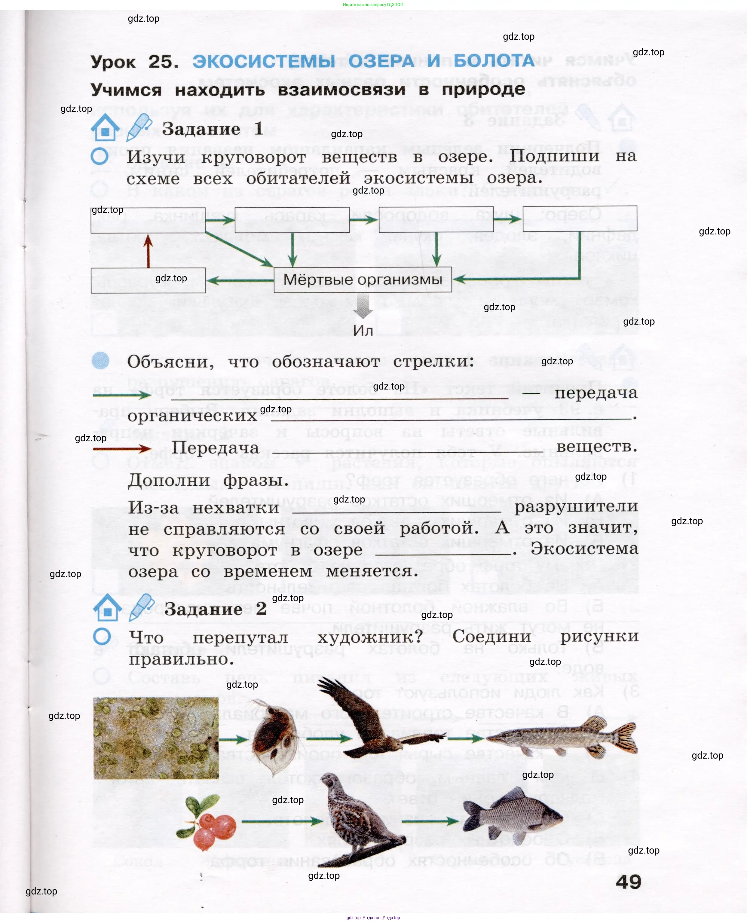 Окружающий мир, 4 класс рабочая тетрадь, авторы: Вахрушев Александр Александрович, Зорин Н В, Ловягин С Н, Кремлева И И, Бурский О В, издательство Просвещение, Москва, 2022, зелёного цвета, Часть 1, страница 49