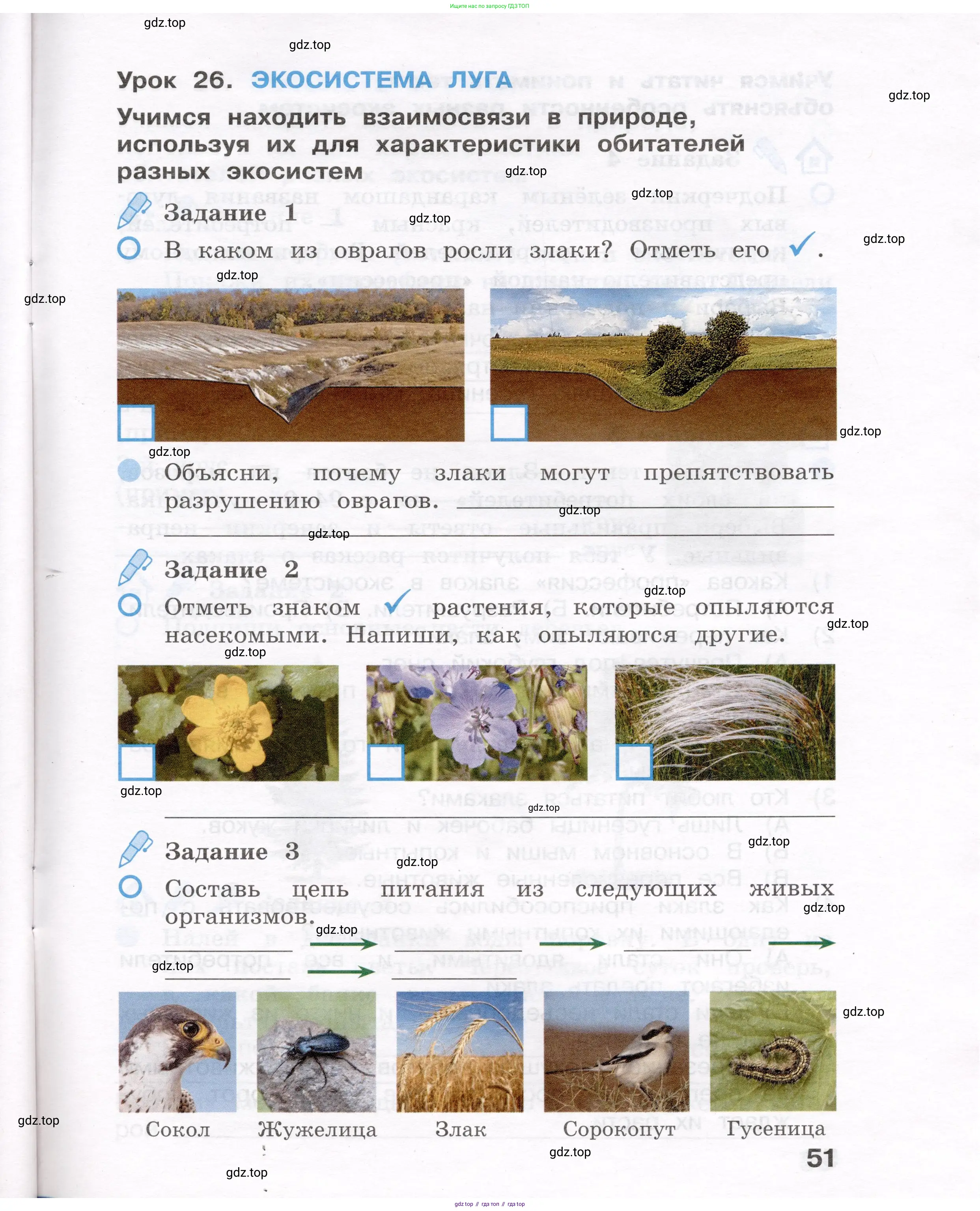 Окружающий мир, 4 класс рабочая тетрадь, авторы: Вахрушев Александр Александрович, Зорин Н В, Ловягин С Н, Кремлева И И, Бурский О В, издательство Просвещение, Москва, 2022, зелёного цвета, Часть 1, страница 51