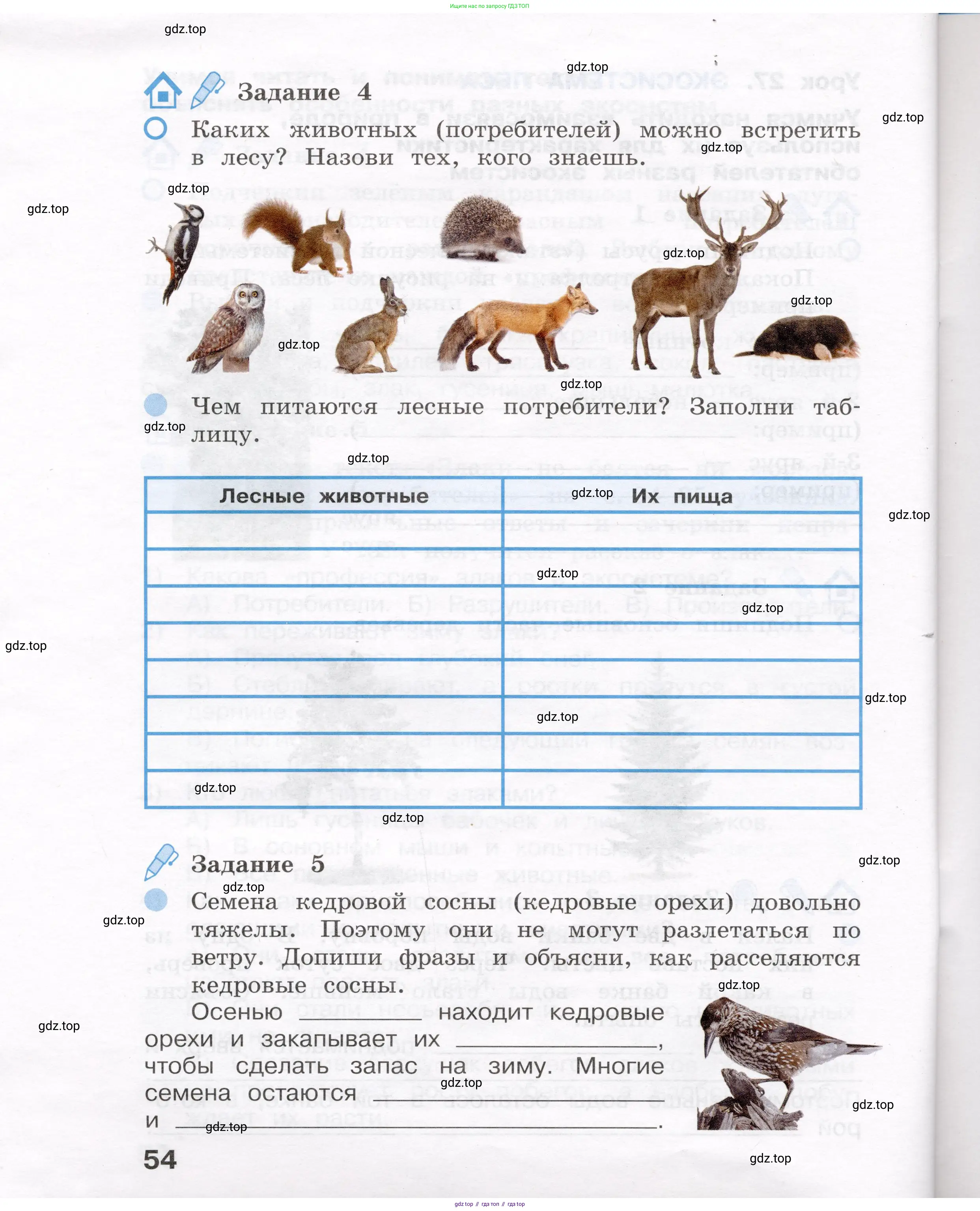 Окружающий мир, 4 класс рабочая тетрадь, авторы: Вахрушев Александр Александрович, Зорин Н В, Ловягин С Н, Кремлева И И, Бурский О В, издательство Просвещение, Москва, 2022, зелёного цвета, Часть 1, страница 54