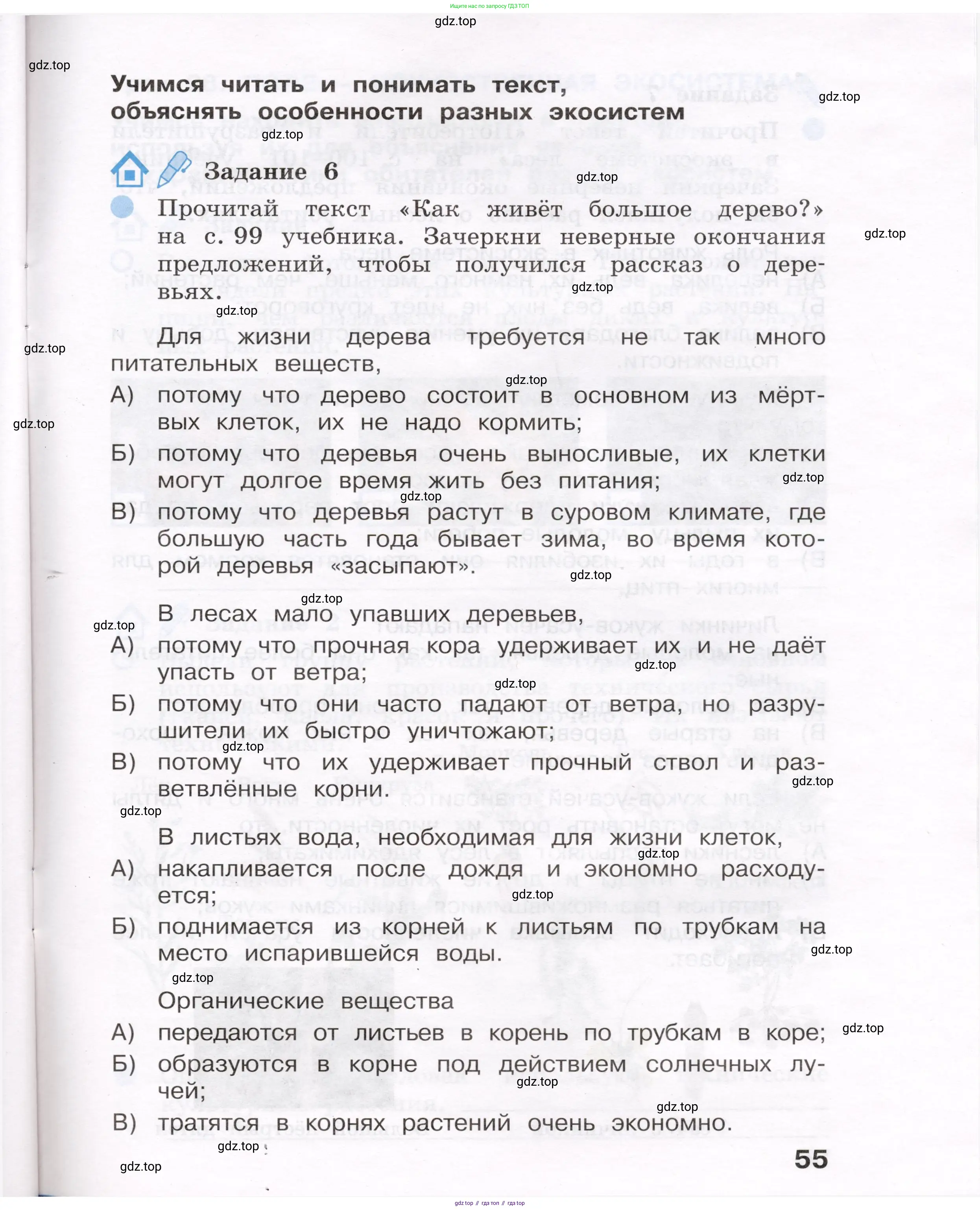 Окружающий мир, 4 класс рабочая тетрадь, авторы: Вахрушев Александр Александрович, Зорин Н В, Ловягин С Н, Кремлева И И, Бурский О В, издательство Просвещение, Москва, 2022, зелёного цвета, Часть 1, страница 55