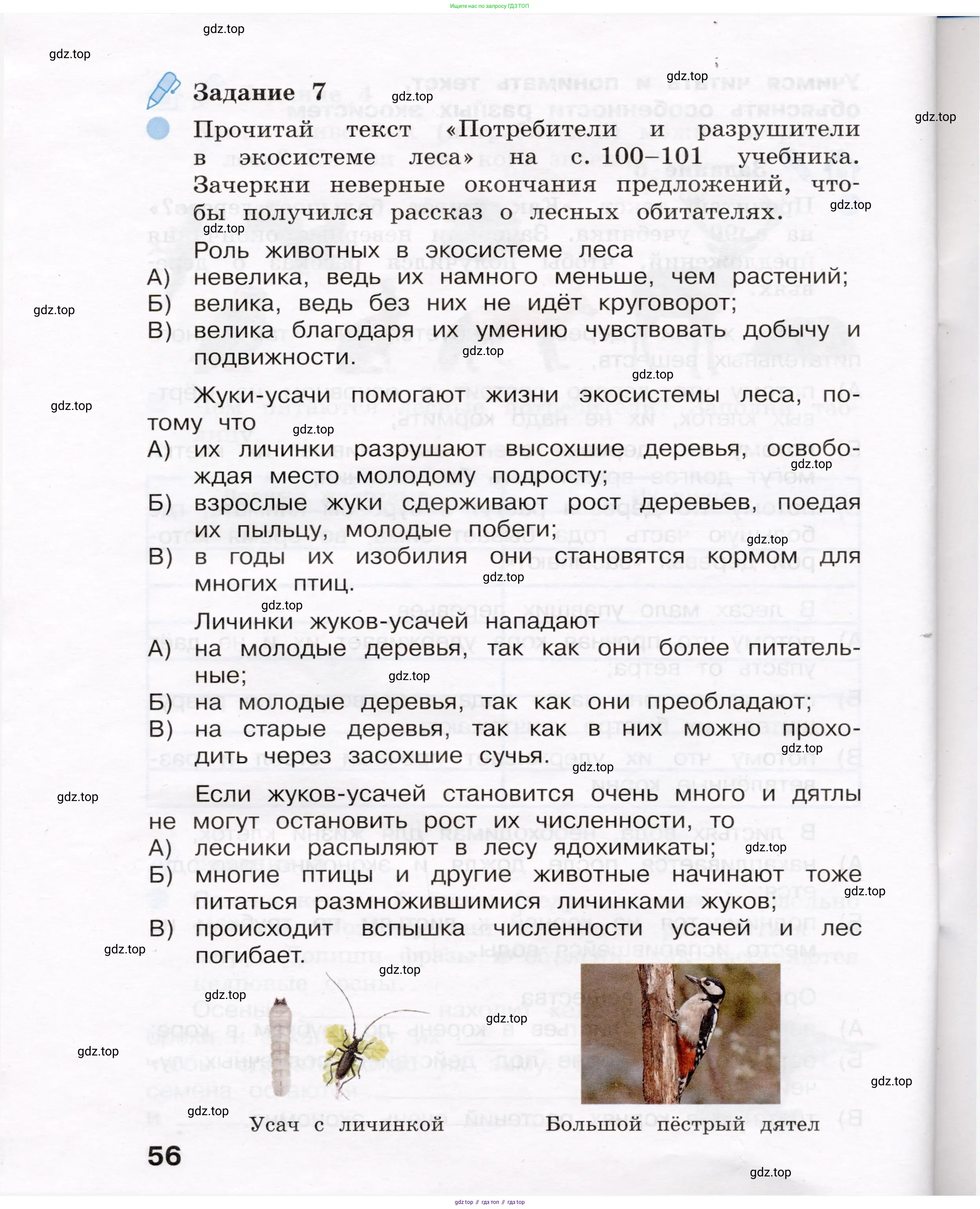 Окружающий мир, 4 класс рабочая тетрадь, авторы: Вахрушев Александр Александрович, Зорин Н В, Ловягин С Н, Кремлева И И, Бурский О В, издательство Просвещение, Москва, 2022, зелёного цвета, Часть 1, страница 56