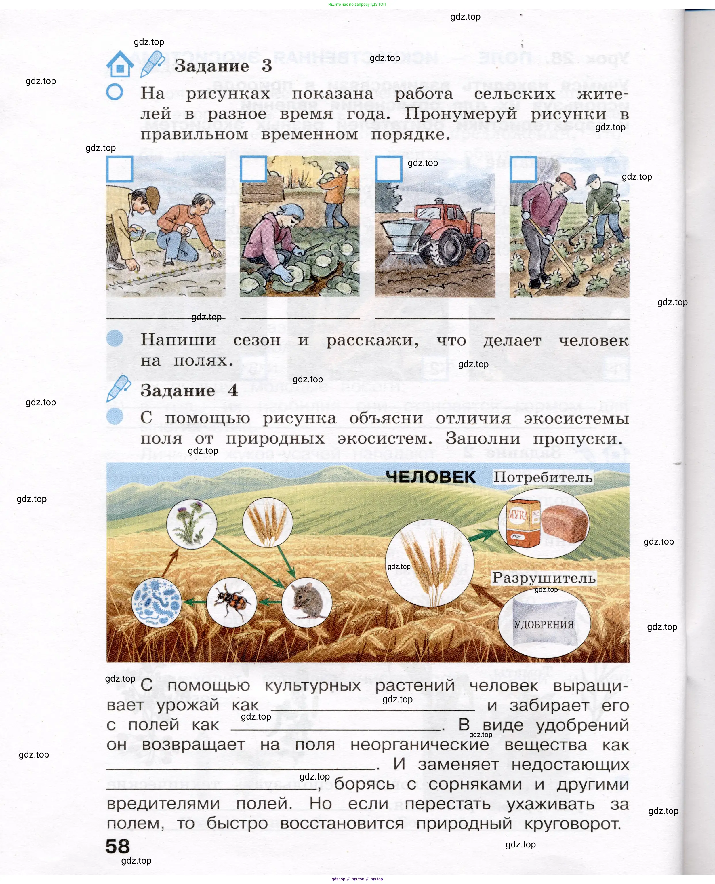 Окружающий мир, 4 класс рабочая тетрадь, авторы: Вахрушев Александр Александрович, Зорин Н В, Ловягин С Н, Кремлева И И, Бурский О В, издательство Просвещение, Москва, 2022, зелёного цвета, Часть 1, страница 58