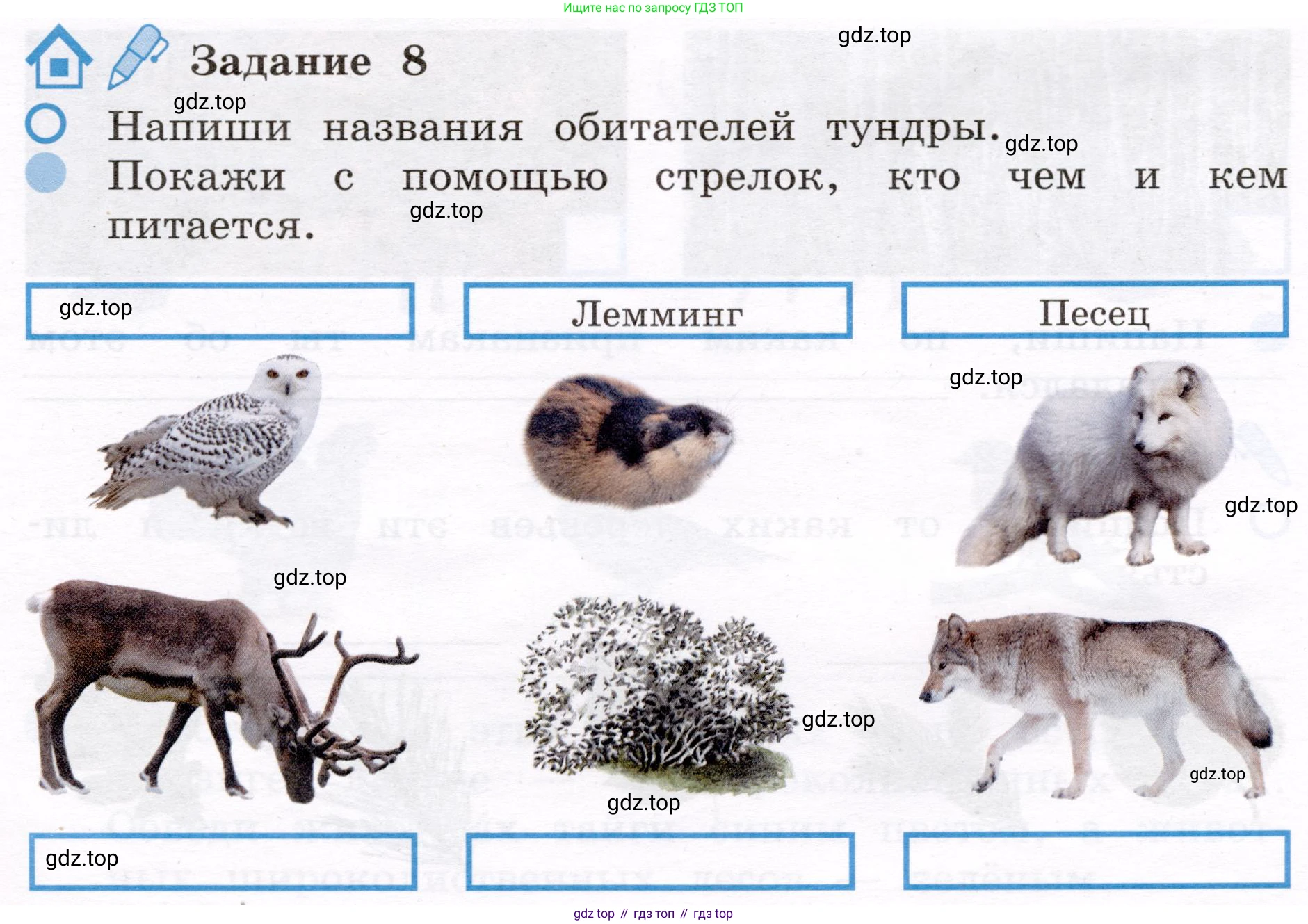 ГДЗ Окружающий мир, 4 класс рабочая тетрадь, авторы: Вахрушев Александр Александрович, Зорин Н В, Ловягин С Н, Кремлева И И, Бурский О В, издательство Просвещение, Москва, 2022, зелёного цвета, Часть 1, страница 33, номер 8, Условие