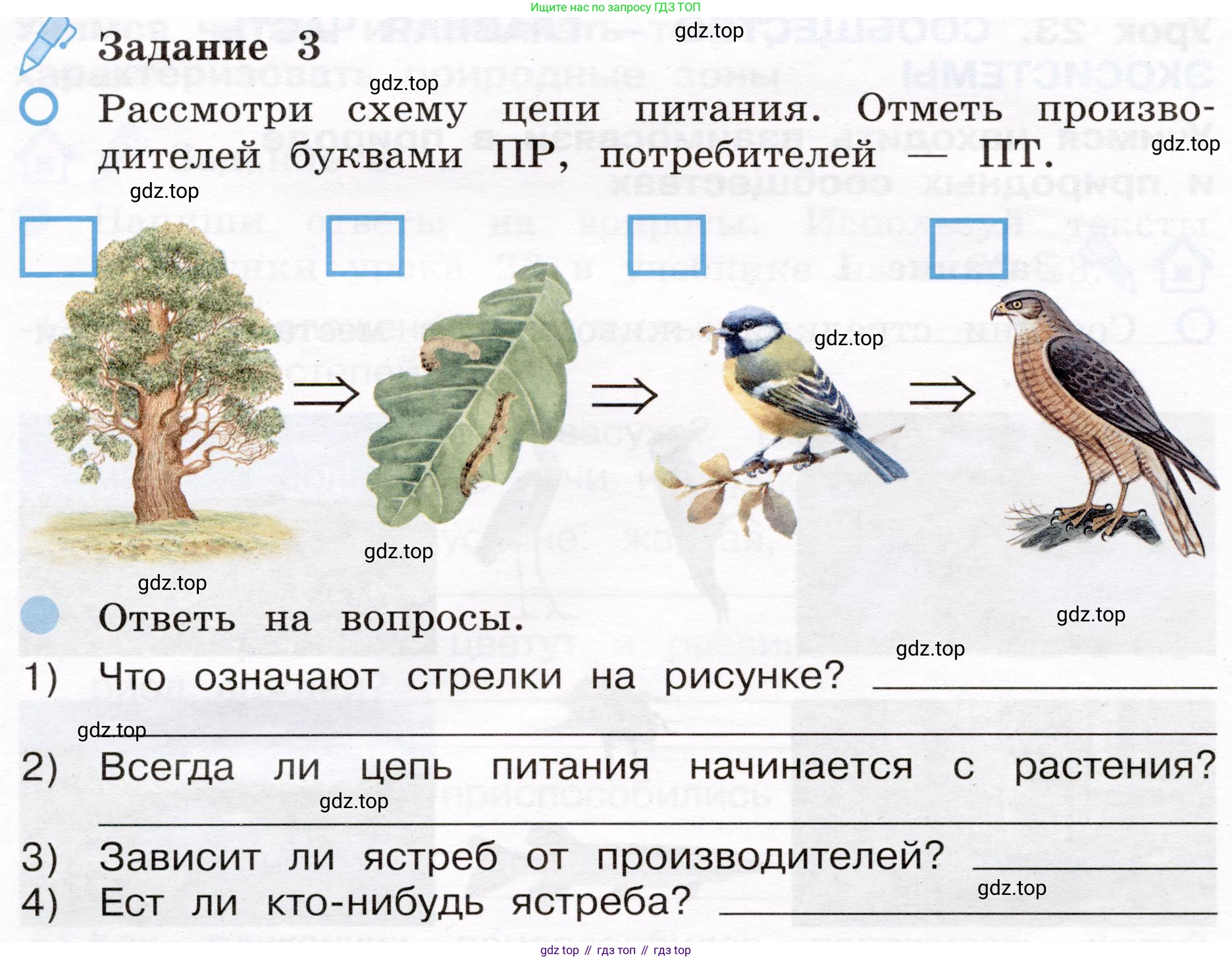 Окружающий мир, 4 класс рабочая тетрадь, авторы: Вахрушев Александр Александрович, Зорин Н В, Ловягин С Н, Кремлева И И, Бурский О В, издательство Просвещение, Москва, 2022, зелёного цвета, Часть 1, страница 44, номер 3, Условие