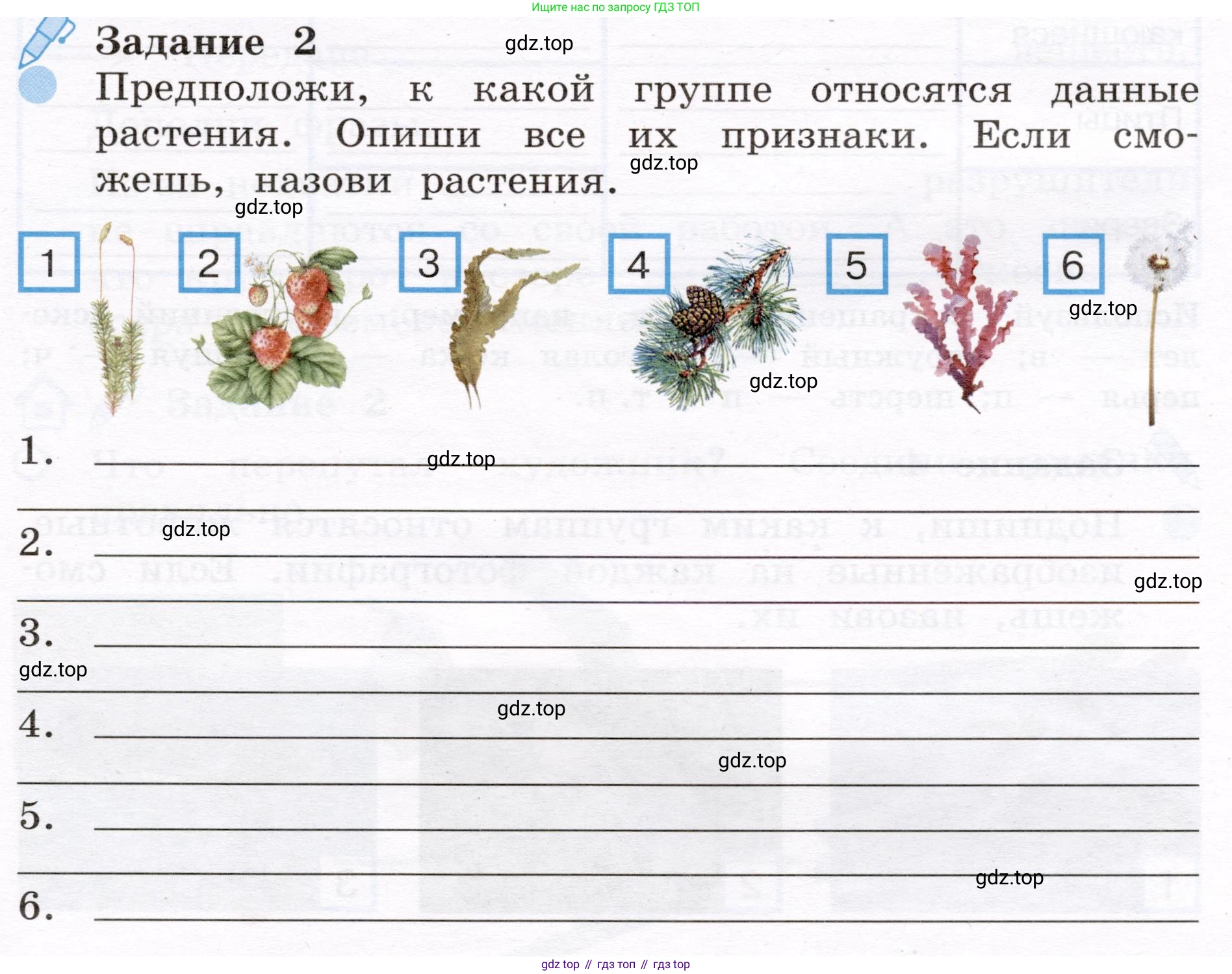 Окружающий мир, 4 класс рабочая тетрадь, авторы: Вахрушев Александр Александрович, Зорин Н В, Ловягин С Н, Кремлева И И, Бурский О В, издательство Просвещение, Москва, 2022, зелёного цвета, Часть 1, страница 47, номер 2, Условие