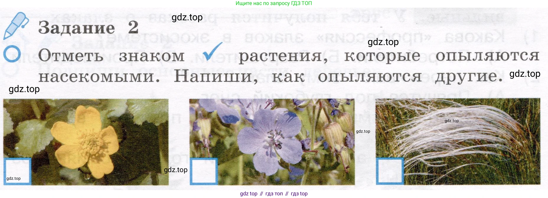 Окружающий мир, 4 класс рабочая тетрадь, авторы: Вахрушев Александр Александрович, Зорин Н В, Ловягин С Н, Кремлева И И, Бурский О В, издательство Просвещение, Москва, 2022, зелёного цвета, Часть 1, страница 51, номер 2, Условие