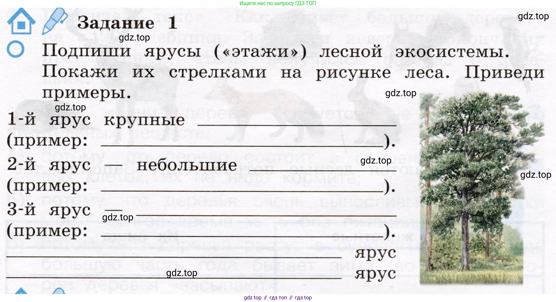 Окружающий мир, 4 класс рабочая тетрадь, авторы: Вахрушев Александр Александрович, Зорин Н В, Ловягин С Н, Кремлева И И, Бурский О В, издательство Просвещение, Москва, 2022, зелёного цвета, Часть 1, страница 53, номер 1, Условие