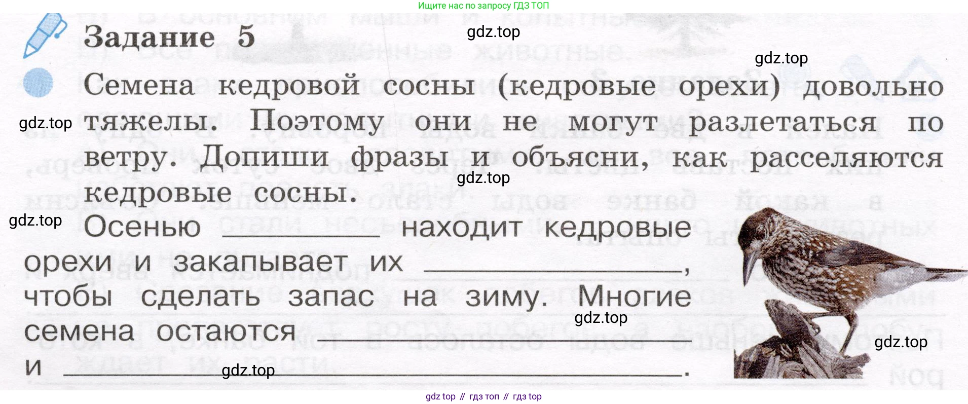 Окружающий мир, 4 класс рабочая тетрадь, авторы: Вахрушев Александр Александрович, Зорин Н В, Ловягин С Н, Кремлева И И, Бурский О В, издательство Просвещение, Москва, 2022, зелёного цвета, Часть 1, страница 54, номер 5, Условие