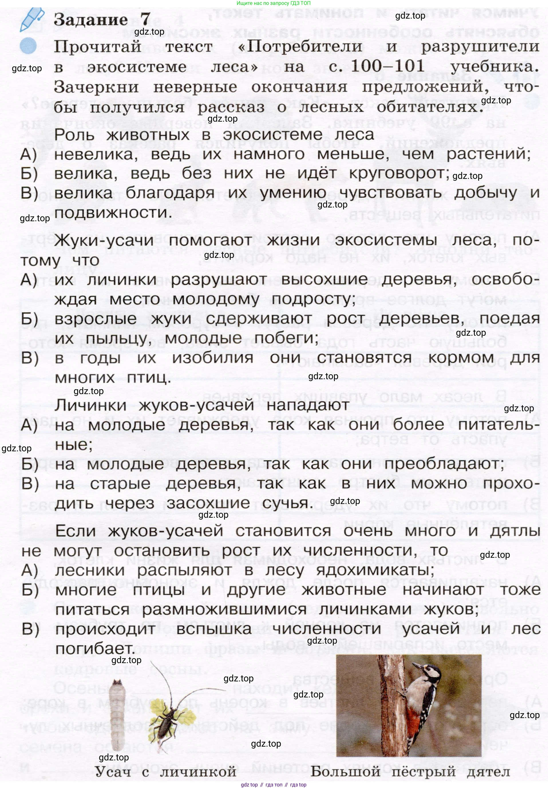 Окружающий мир, 4 класс рабочая тетрадь, авторы: Вахрушев Александр Александрович, Зорин Н В, Ловягин С Н, Кремлева И И, Бурский О В, издательство Просвещение, Москва, 2022, зелёного цвета, Часть 1, страница 56, номер 7, Условие