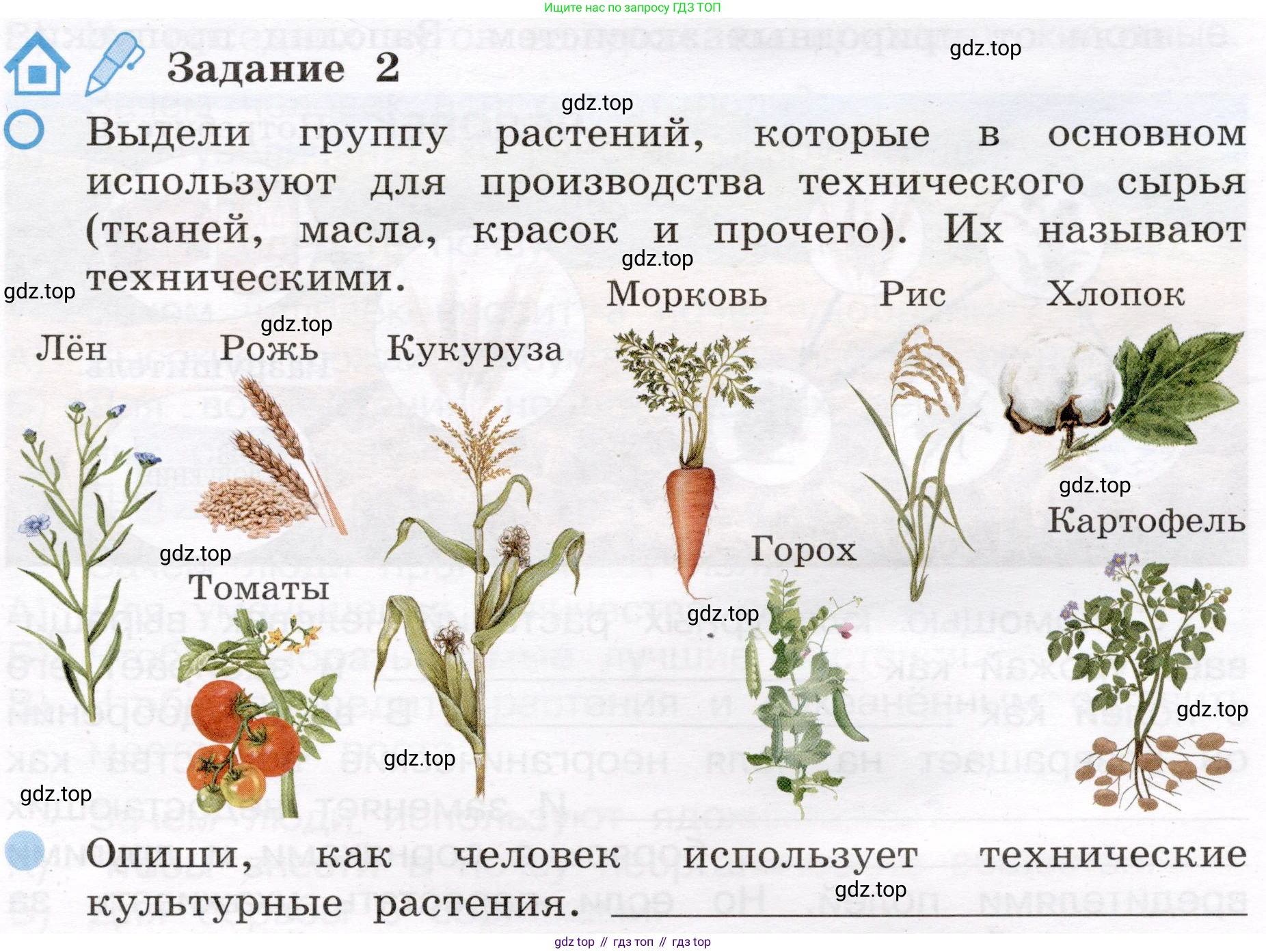 Окружающий мир, 4 класс рабочая тетрадь, авторы: Вахрушев Александр Александрович, Зорин Н В, Ловягин С Н, Кремлева И И, Бурский О В, издательство Просвещение, Москва, 2022, зелёного цвета, Часть 1, страница 57, номер 2, Условие