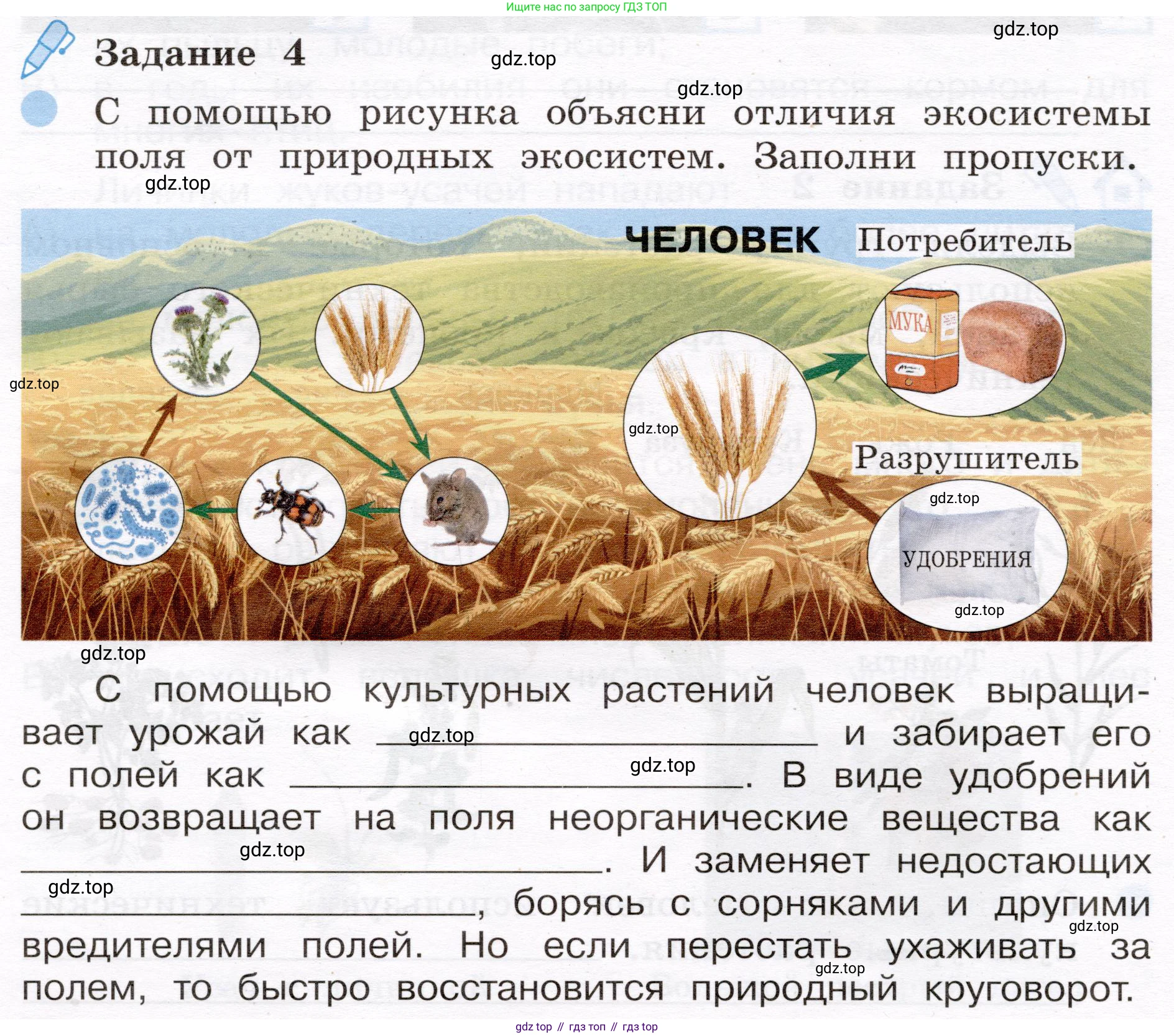 Окружающий мир, 4 класс рабочая тетрадь, авторы: Вахрушев Александр Александрович, Зорин Н В, Ловягин С Н, Кремлева И И, Бурский О В, издательство Просвещение, Москва, 2022, зелёного цвета, Часть 1, страница 58, номер 4, Условие
