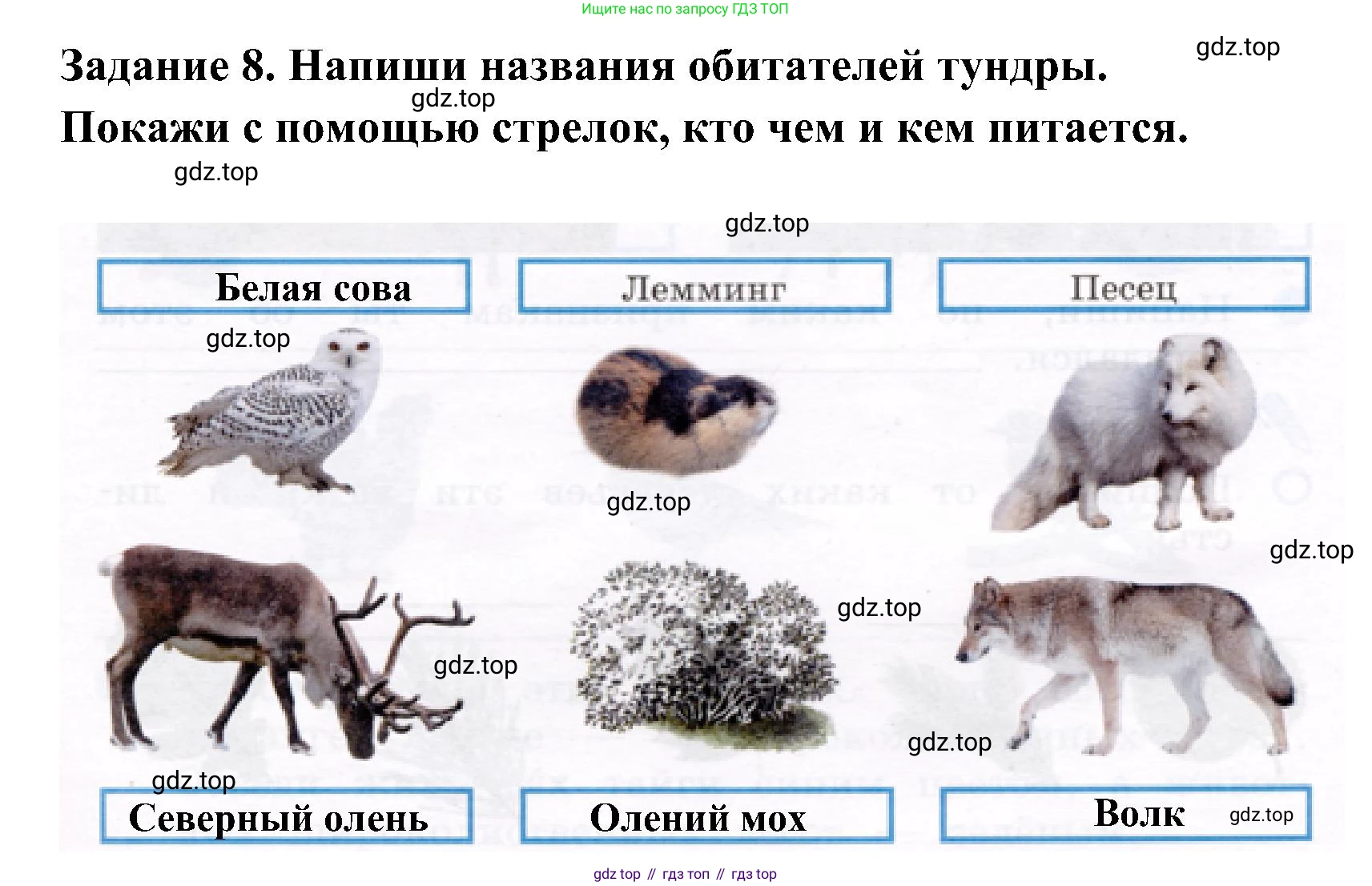 ГДЗ Окружающий мир, 4 класс рабочая тетрадь, авторы: Вахрушев Александр Александрович, Зорин Н В, Ловягин С Н, Кремлева И И, Бурский О В, издательство Просвещение, Москва, 2022, зелёного цвета, Часть 1, страница 33, номер 8, Решение