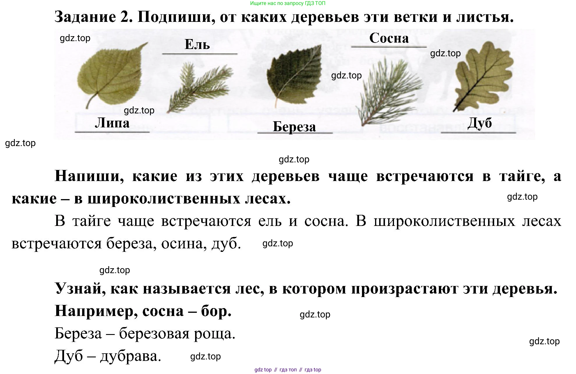 Окружающий мир, 4 класс рабочая тетрадь, авторы: Вахрушев Александр Александрович, Зорин Н В, Ловягин С Н, Кремлева И И, Бурский О В, издательство Просвещение, Москва, 2022, зелёного цвета, Часть 1, страница 34, номер 2, Решение