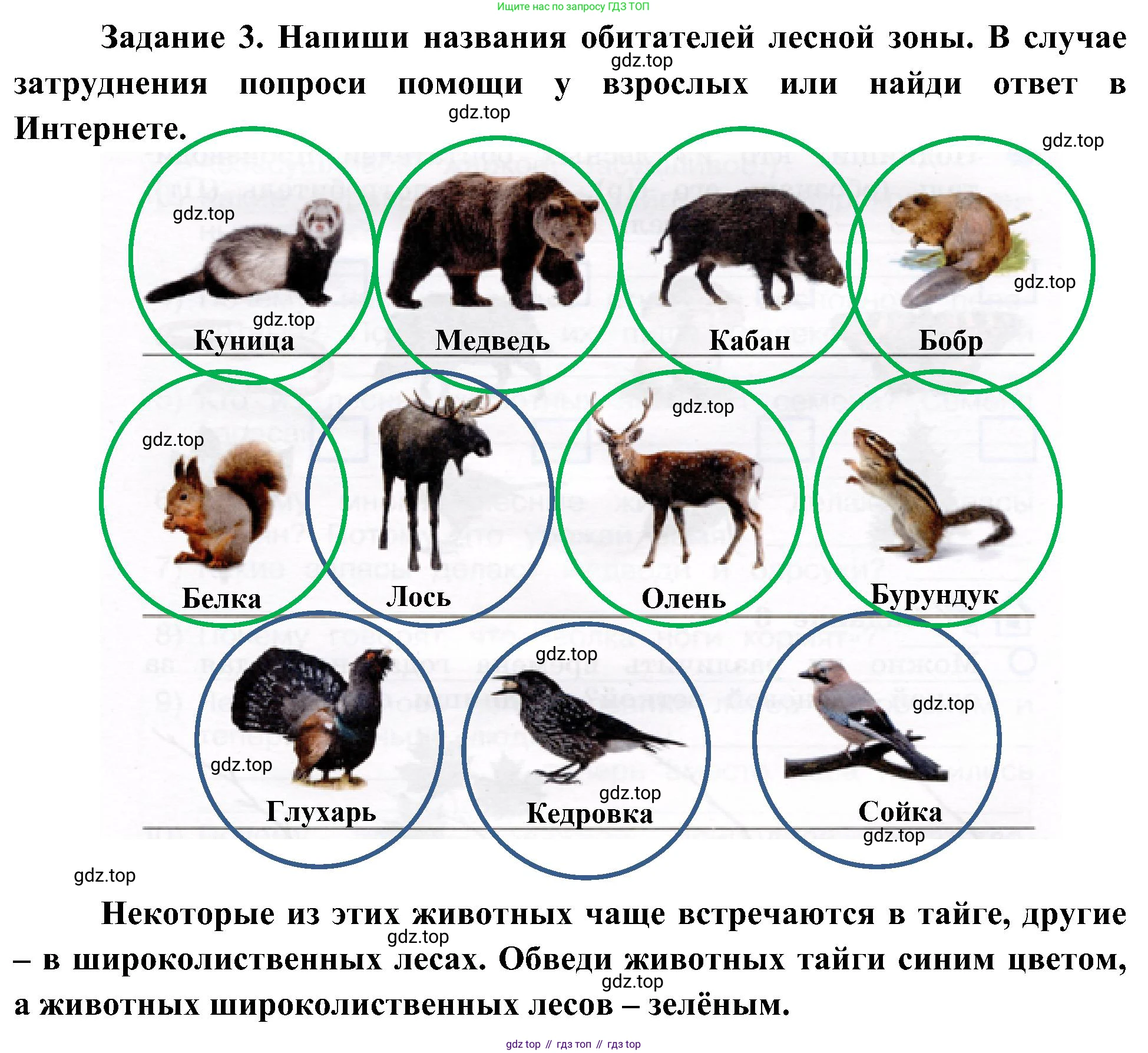 Окружающий мир, 4 класс рабочая тетрадь, авторы: Вахрушев Александр Александрович, Зорин Н В, Ловягин С Н, Кремлева И И, Бурский О В, издательство Просвещение, Москва, 2022, зелёного цвета, Часть 1, страница 35, номер 3, Решение