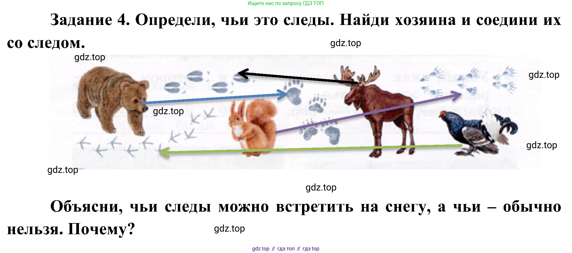 Окружающий мир, 4 класс рабочая тетрадь, авторы: Вахрушев Александр Александрович, Зорин Н В, Ловягин С Н, Кремлева И И, Бурский О В, издательство Просвещение, Москва, 2022, зелёного цвета, Часть 1, страница 36, номер 4, Решение