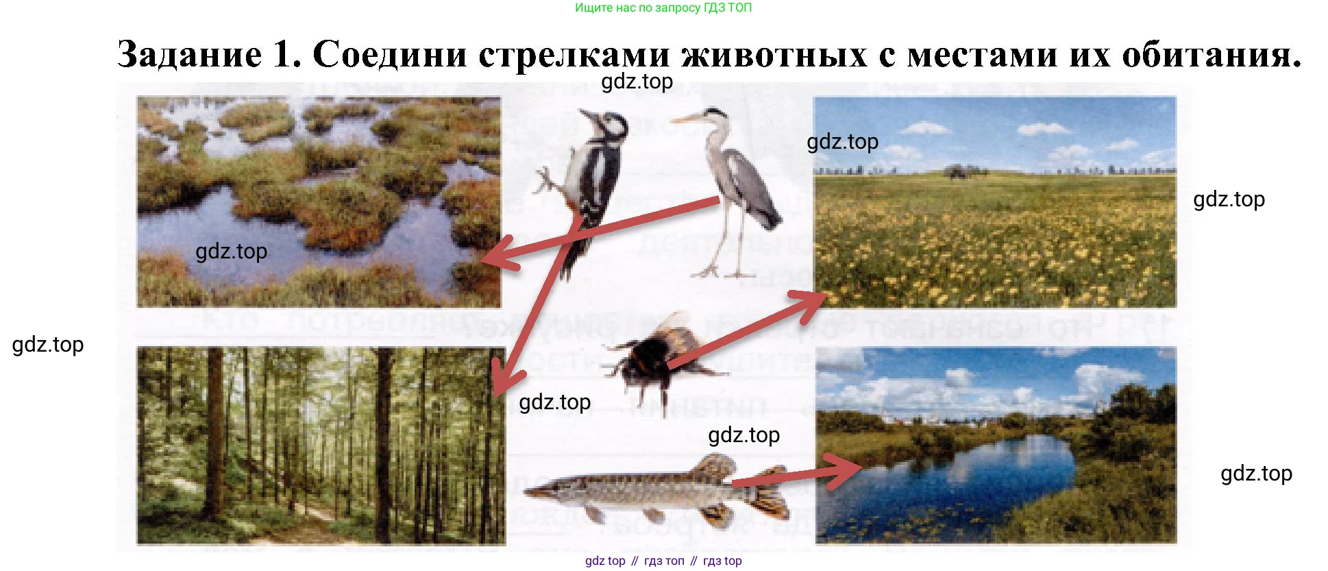 Окружающий мир, 4 класс рабочая тетрадь, авторы: Вахрушев Александр Александрович, Зорин Н В, Ловягин С Н, Кремлева И И, Бурский О В, издательство Просвещение, Москва, 2022, зелёного цвета, Часть 1, страница 43, номер 1, Решение