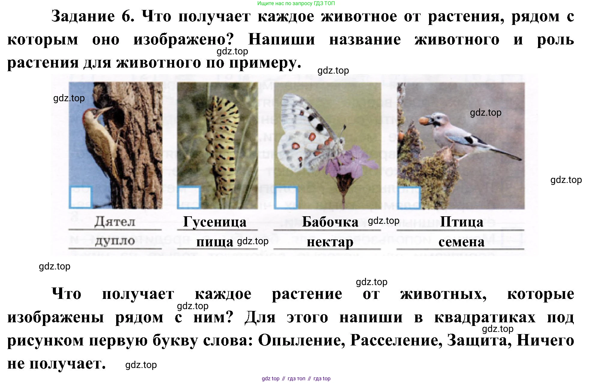 Окружающий мир, 4 класс рабочая тетрадь, авторы: Вахрушев Александр Александрович, Зорин Н В, Ловягин С Н, Кремлева И И, Бурский О В, издательство Просвещение, Москва, 2022, зелёного цвета, Часть 1, страница 45, номер 6, Решение