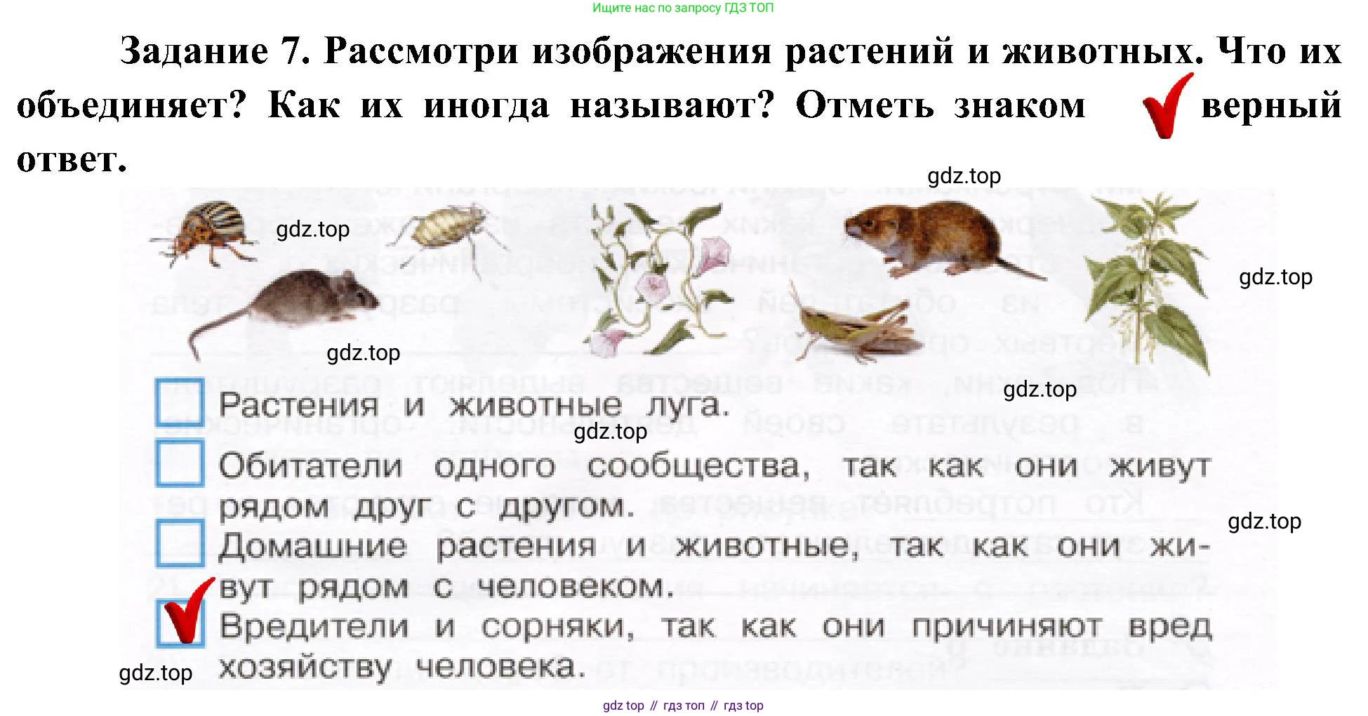 ГДЗ Окружающий мир, 4 класс рабочая тетрадь, авторы: Вахрушев Александр Александрович, Зорин Н В, Ловягин С Н, Кремлева И И, Бурский О В, издательство Просвещение, Москва, 2022, зелёного цвета, Часть 1, страница 46, номер 7, Решение