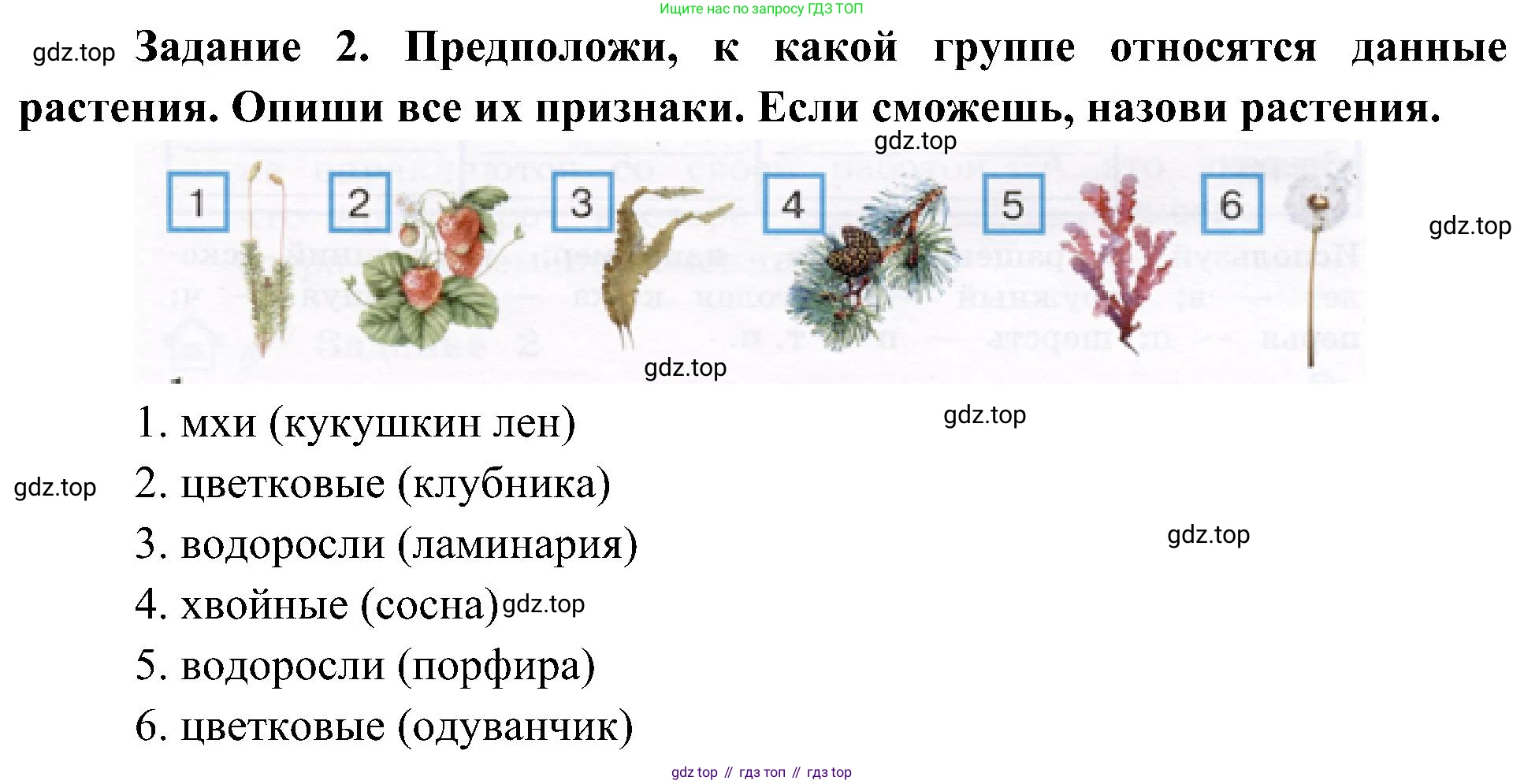Окружающий мир, 4 класс рабочая тетрадь, авторы: Вахрушев Александр Александрович, Зорин Н В, Ловягин С Н, Кремлева И И, Бурский О В, издательство Просвещение, Москва, 2022, зелёного цвета, Часть 1, страница 47, номер 2, Решение