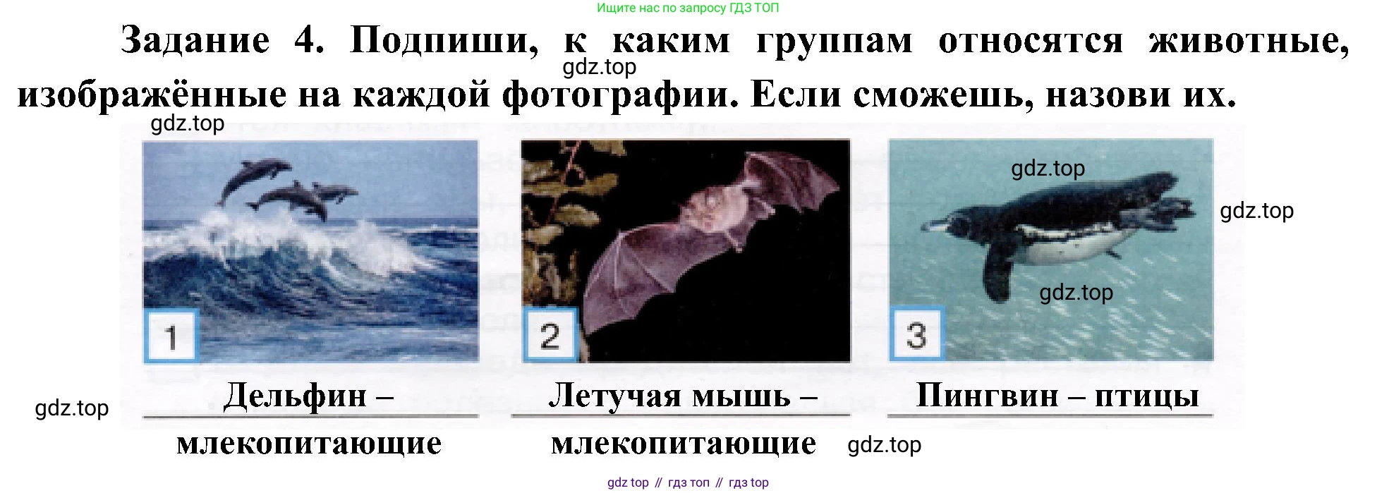 Окружающий мир, 4 класс рабочая тетрадь, авторы: Вахрушев Александр Александрович, Зорин Н В, Ловягин С Н, Кремлева И И, Бурский О В, издательство Просвещение, Москва, 2022, зелёного цвета, Часть 1, страница 48, номер 4, Решение