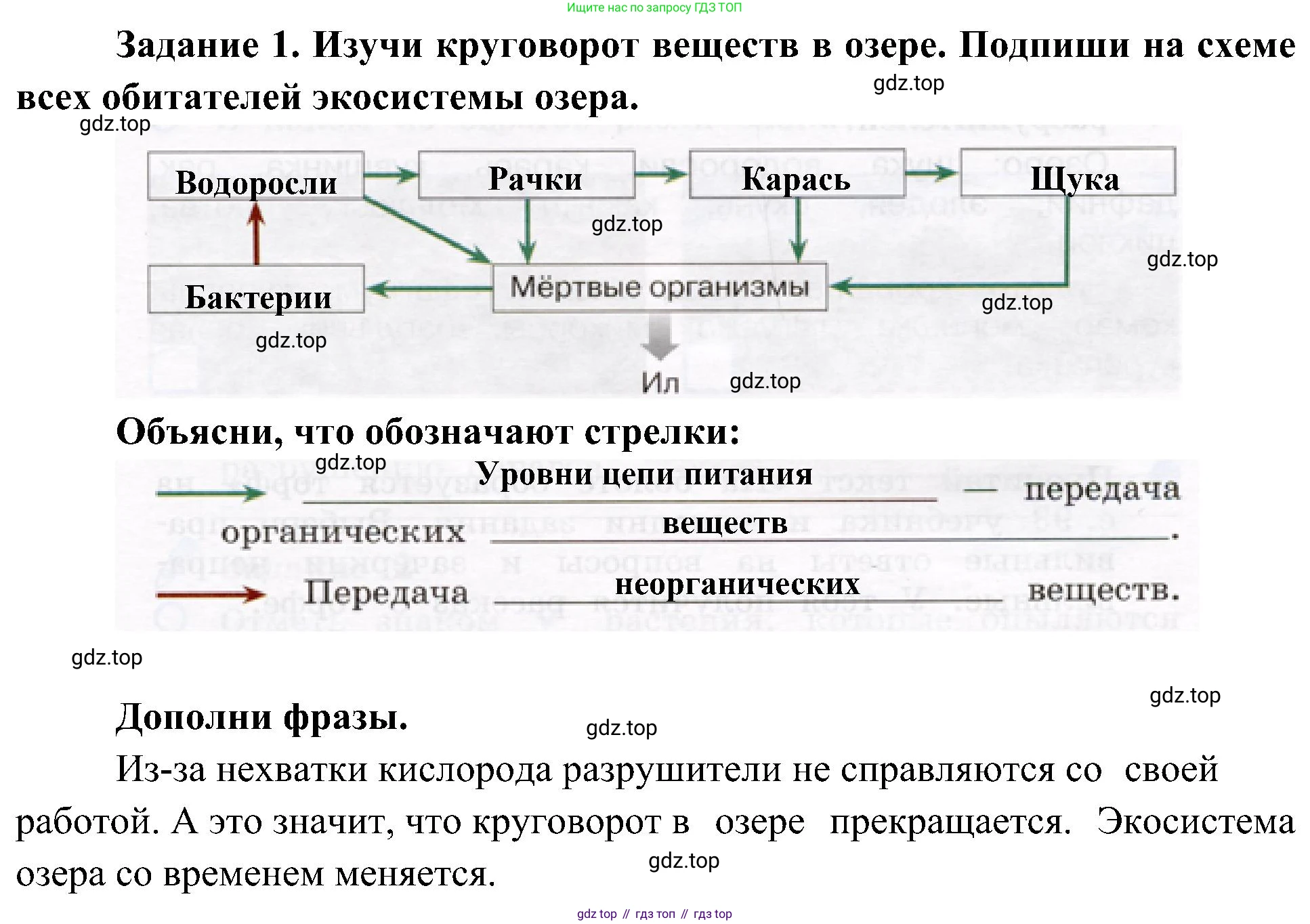 Окружающий мир, 4 класс рабочая тетрадь, авторы: Вахрушев Александр Александрович, Зорин Н В, Ловягин С Н, Кремлева И И, Бурский О В, издательство Просвещение, Москва, 2022, зелёного цвета, Часть 1, страница 49, номер 1, Решение