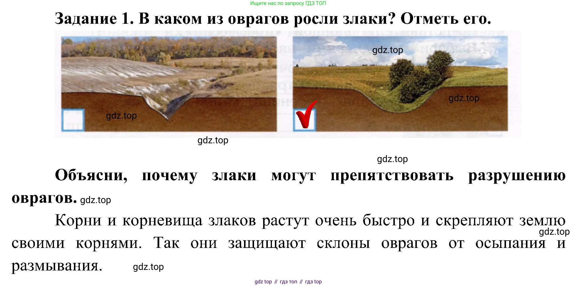Окружающий мир, 4 класс рабочая тетрадь, авторы: Вахрушев Александр Александрович, Зорин Н В, Ловягин С Н, Кремлева И И, Бурский О В, издательство Просвещение, Москва, 2022, зелёного цвета, Часть 1, страница 51, номер 1, Решение