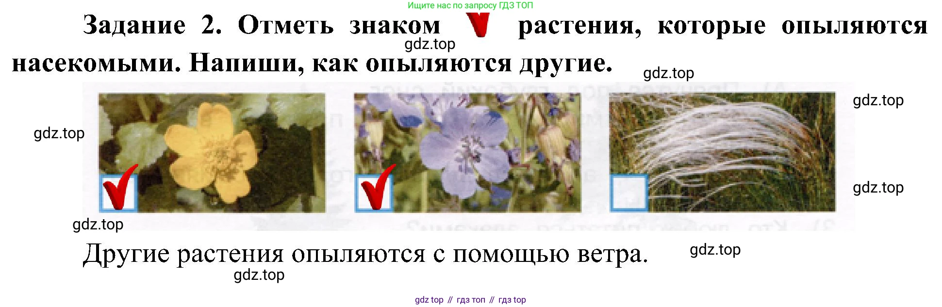 Окружающий мир, 4 класс рабочая тетрадь, авторы: Вахрушев Александр Александрович, Зорин Н В, Ловягин С Н, Кремлева И И, Бурский О В, издательство Просвещение, Москва, 2022, зелёного цвета, Часть 1, страница 51, номер 2, Решение
