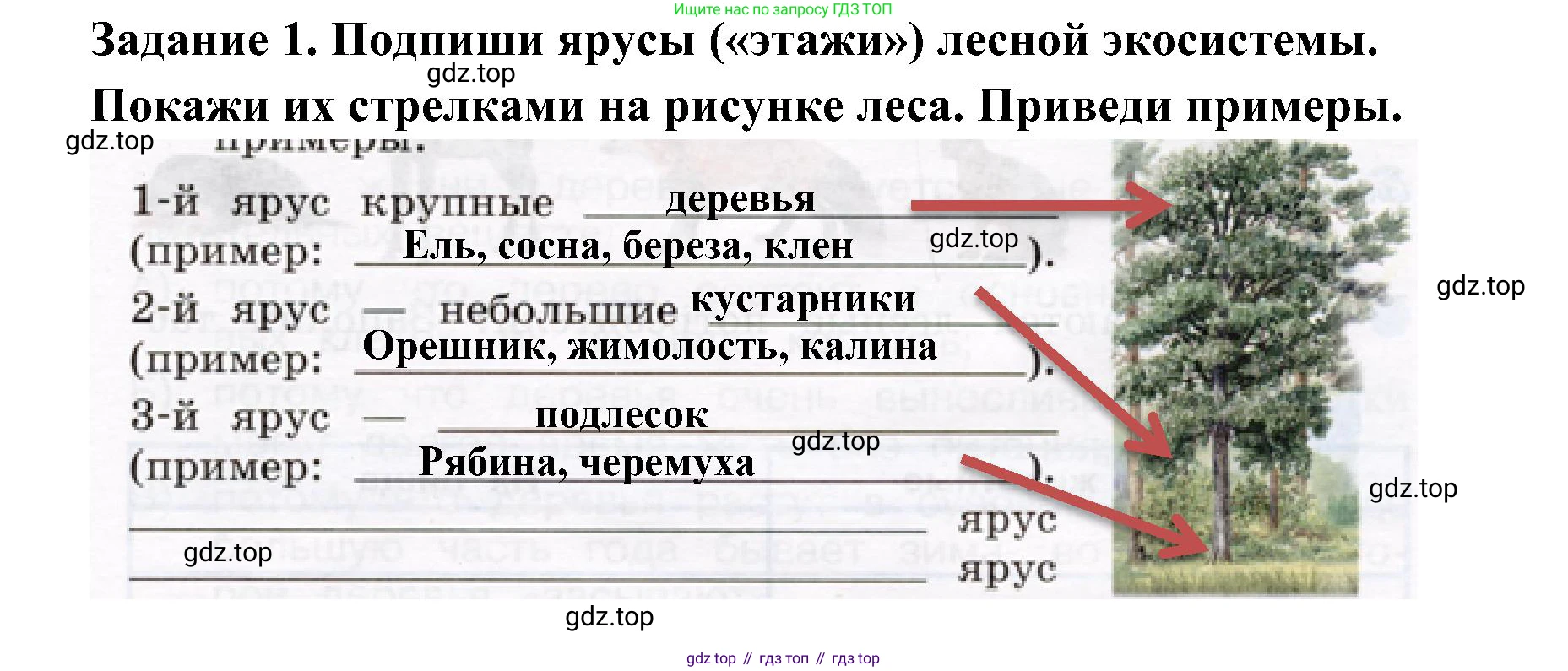 Окружающий мир, 4 класс рабочая тетрадь, авторы: Вахрушев Александр Александрович, Зорин Н В, Ловягин С Н, Кремлева И И, Бурский О В, издательство Просвещение, Москва, 2022, зелёного цвета, Часть 1, страница 53, номер 1, Решение