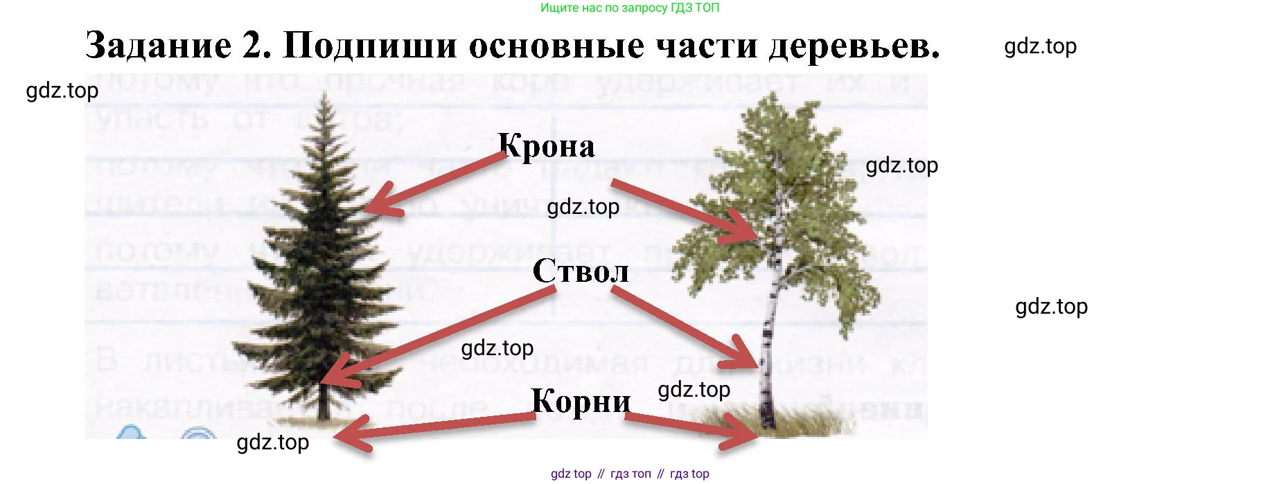 Окружающий мир, 4 класс рабочая тетрадь, авторы: Вахрушев Александр Александрович, Зорин Н В, Ловягин С Н, Кремлева И И, Бурский О В, издательство Просвещение, Москва, 2022, зелёного цвета, Часть 1, страница 53, номер 2, Решение