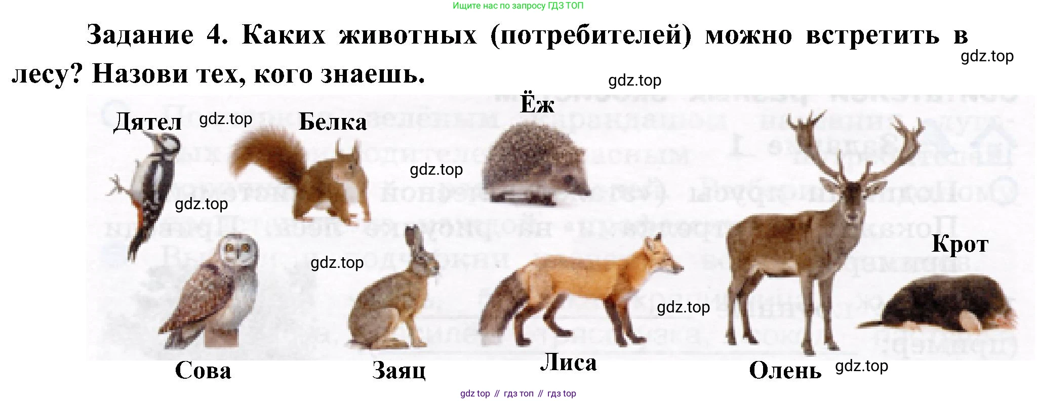 Окружающий мир, 4 класс рабочая тетрадь, авторы: Вахрушев Александр Александрович, Зорин Н В, Ловягин С Н, Кремлева И И, Бурский О В, издательство Просвещение, Москва, 2022, зелёного цвета, Часть 1, страница 54, номер 4, Решение