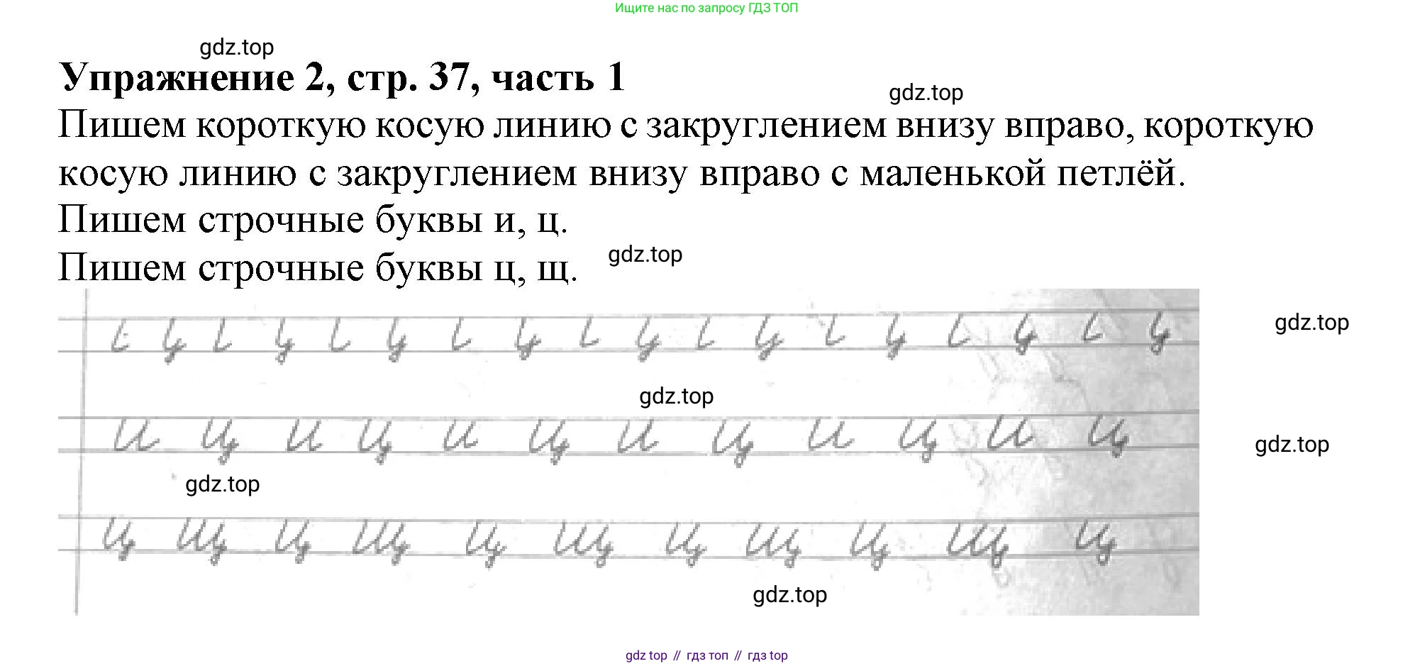 Русский язык, 1 класс рабочая тетрадь, авторы: Иванов Станислав Викторович, Евдокимова Антонина Олеговна, Кузнецова Елена Николаевна, издательство Просвещение, Москва, 2023, зелёного цвета, Часть 1, страница 37, номер 2, Решение