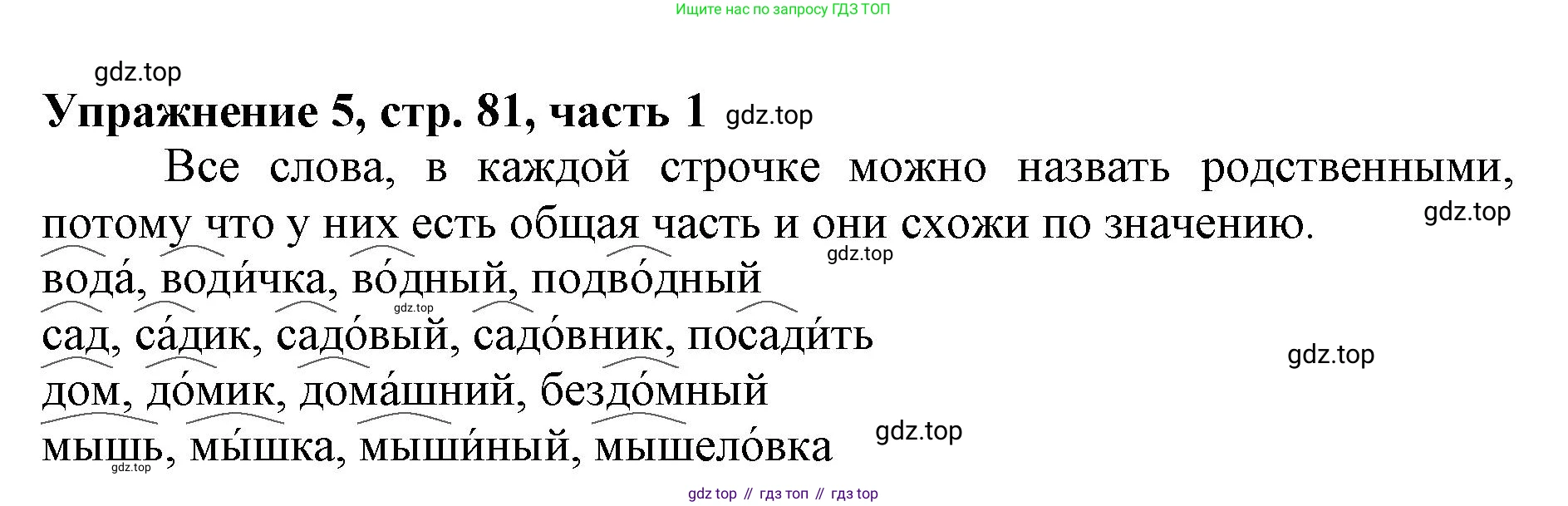 Русский язык, 1 класс рабочая тетрадь, авторы: Иванов Станислав Викторович, Евдокимова Антонина Олеговна, Кузнецова Елена Николаевна, издательство Просвещение, Москва, 2023, зелёного цвета, Часть 1, страница 81, номер 5, Решение