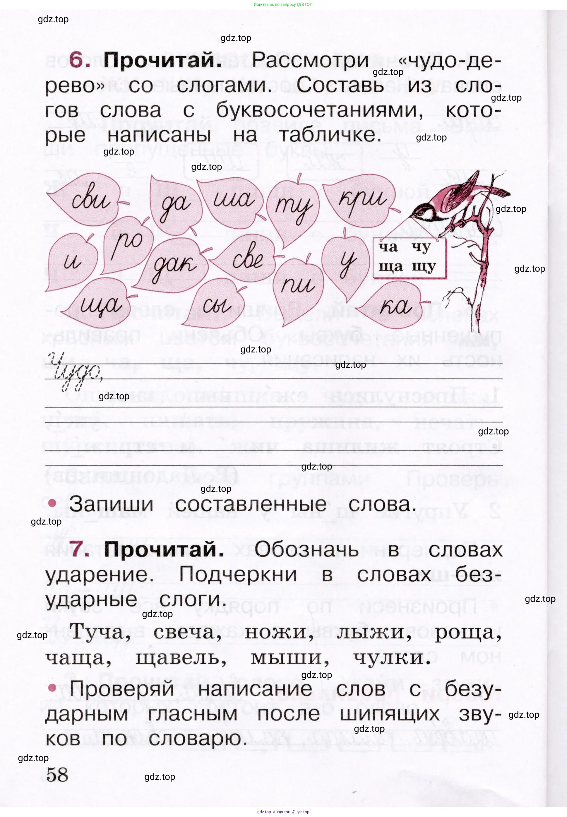 Русский язык, 1 класс рабочая тетрадь, автор: Канакина Валентина Павловна, издательство Просвещение, Москва, 2023, белого цвета, страница 58