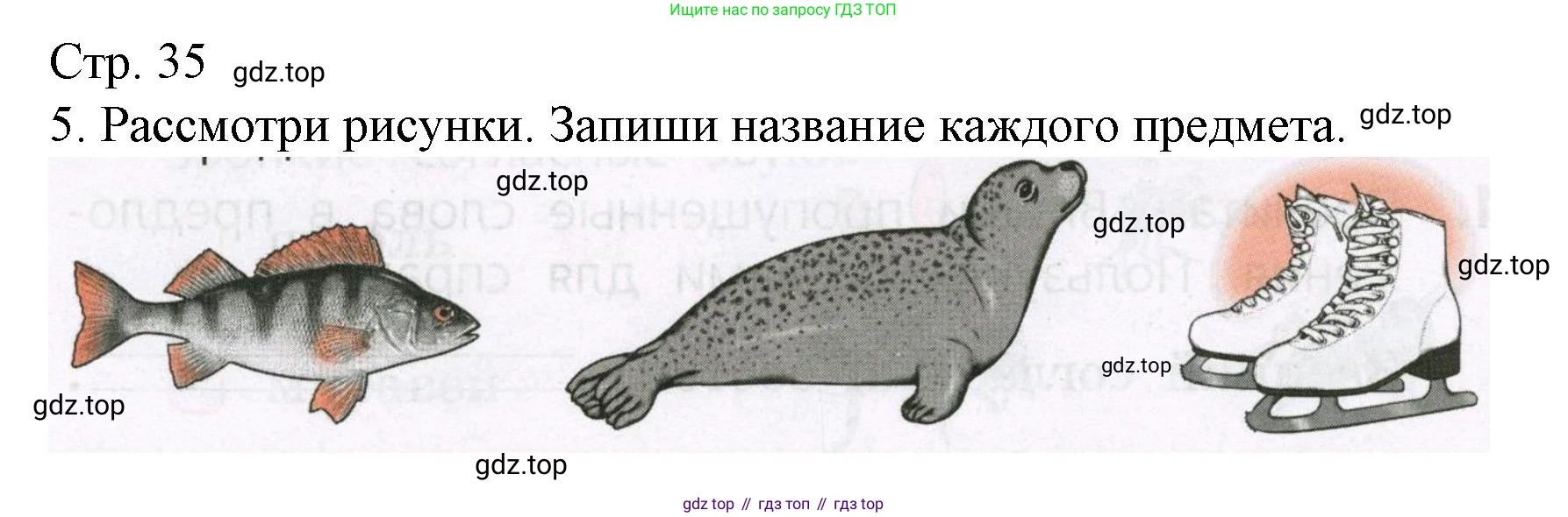 Русский язык, 1 класс Тетрадь учебных достижений, автор: Канакина Валентина Павловна, издательство Просвещение, Москва, 2023, белого цвета, страница 35, номер 5, Решение